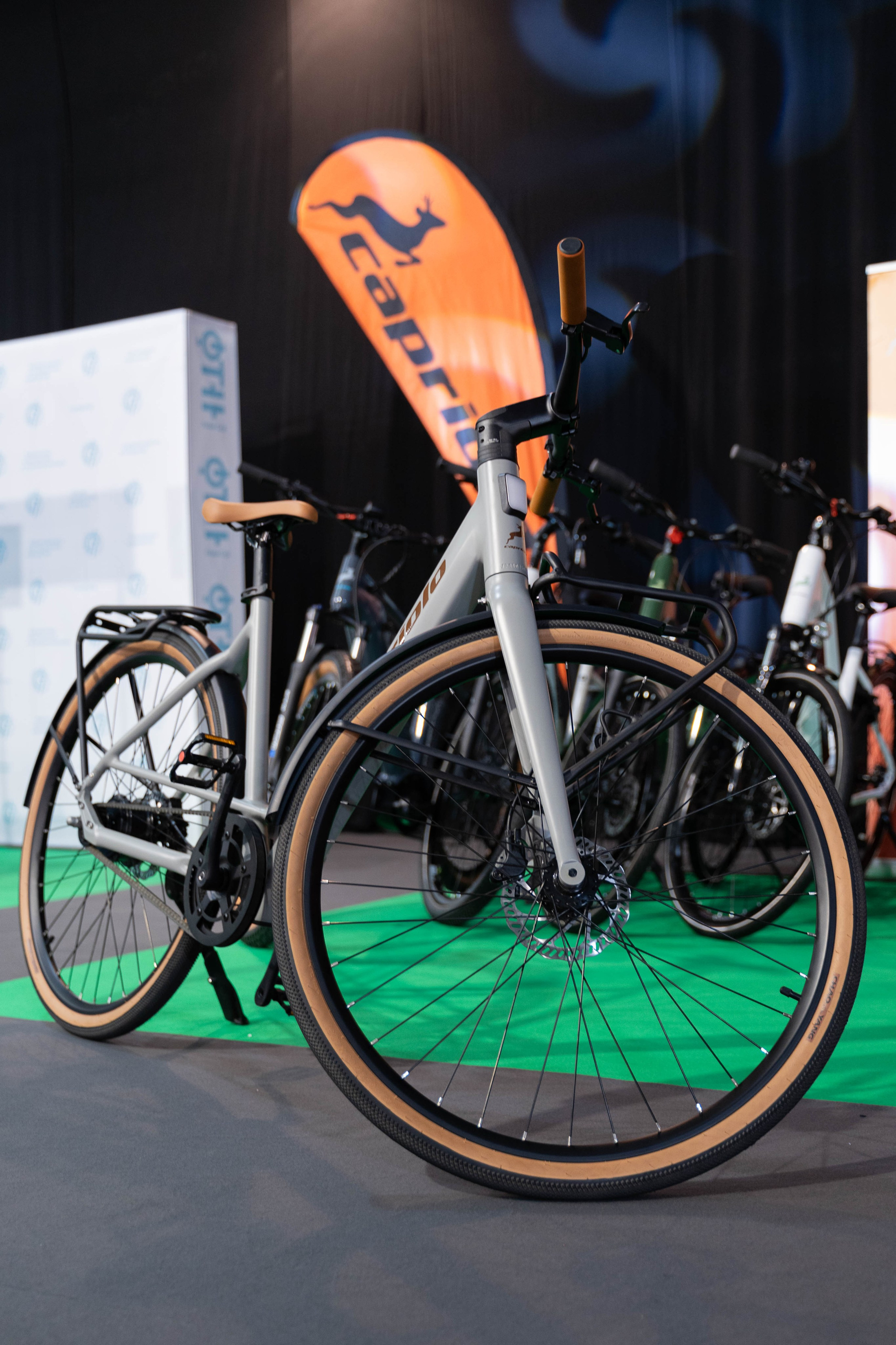 Electric Vehicles Days in Novi Sad 2024. Zhukov studio