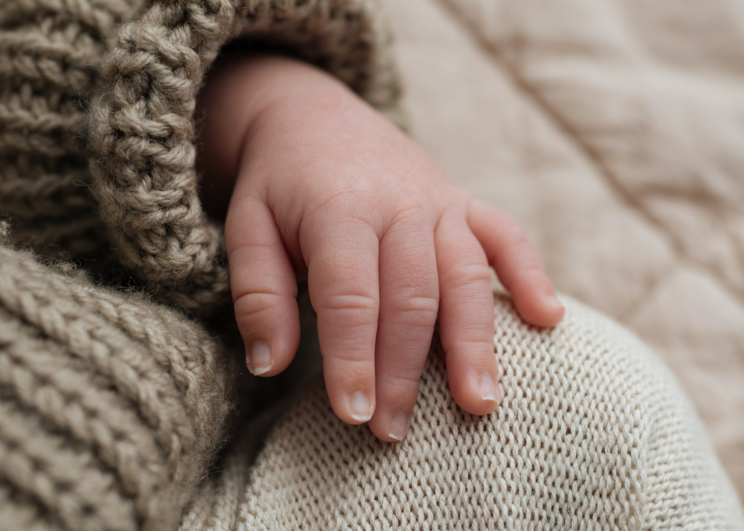 Katerina Sellitti - Newborn Fotografin aus Bern. Schweiz