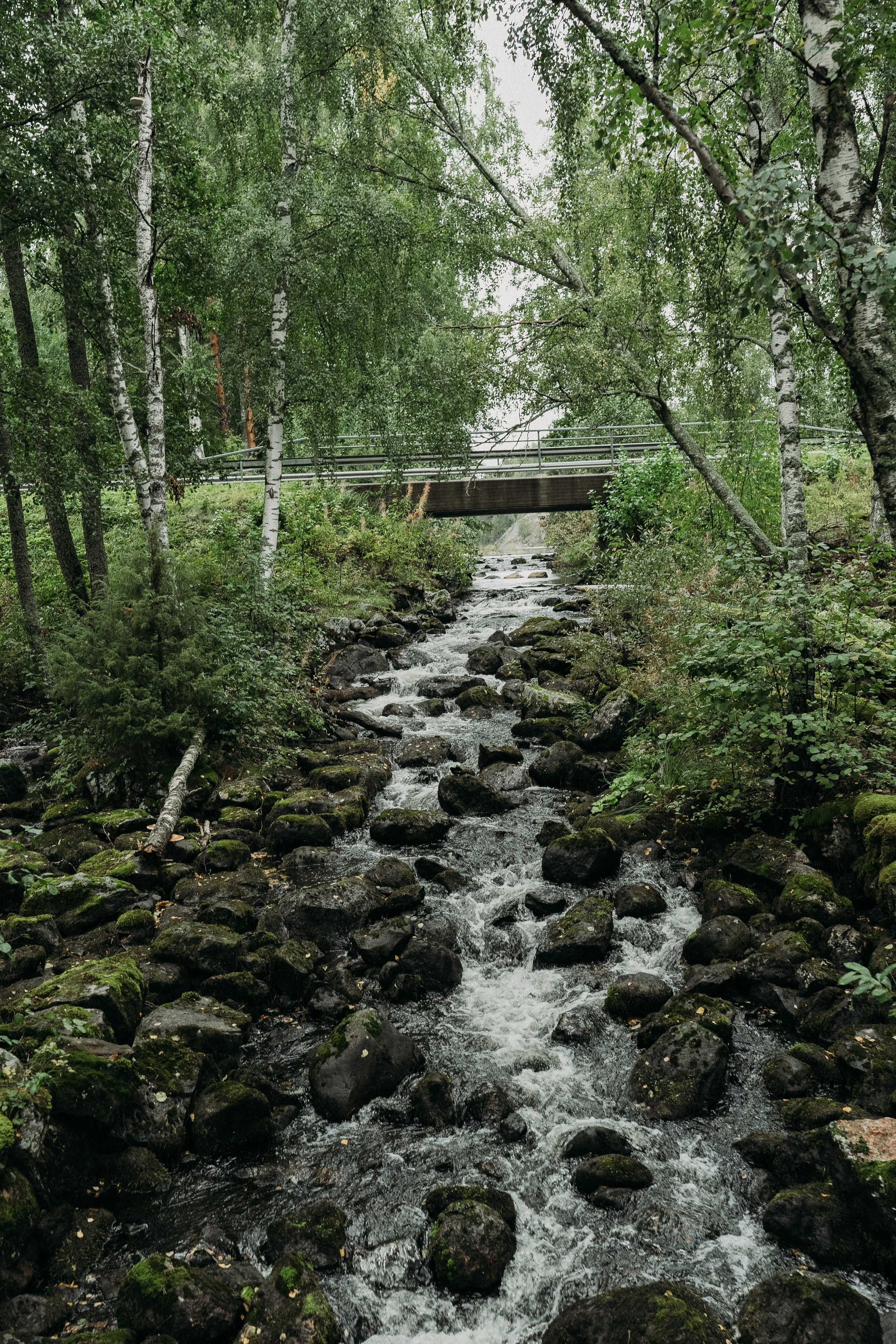 A&O. Wedding and portrait photographer in Helsinki Vickan O