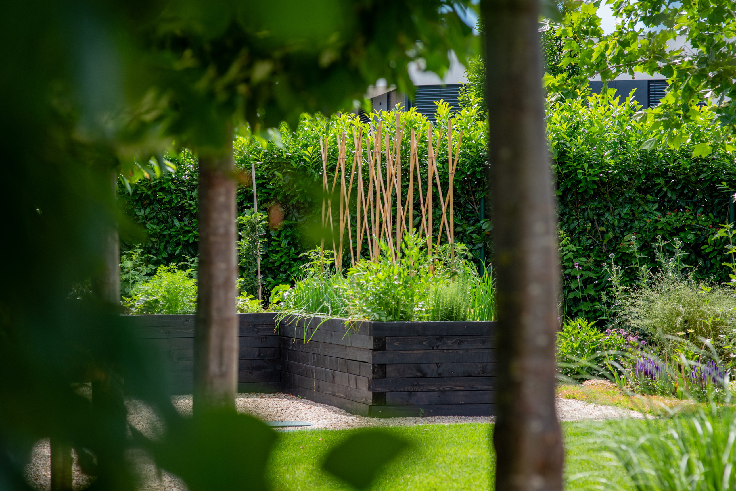 BEŽECKÁ 11. Photographer and videographer in Norway and Slovakia Andrea Zemko