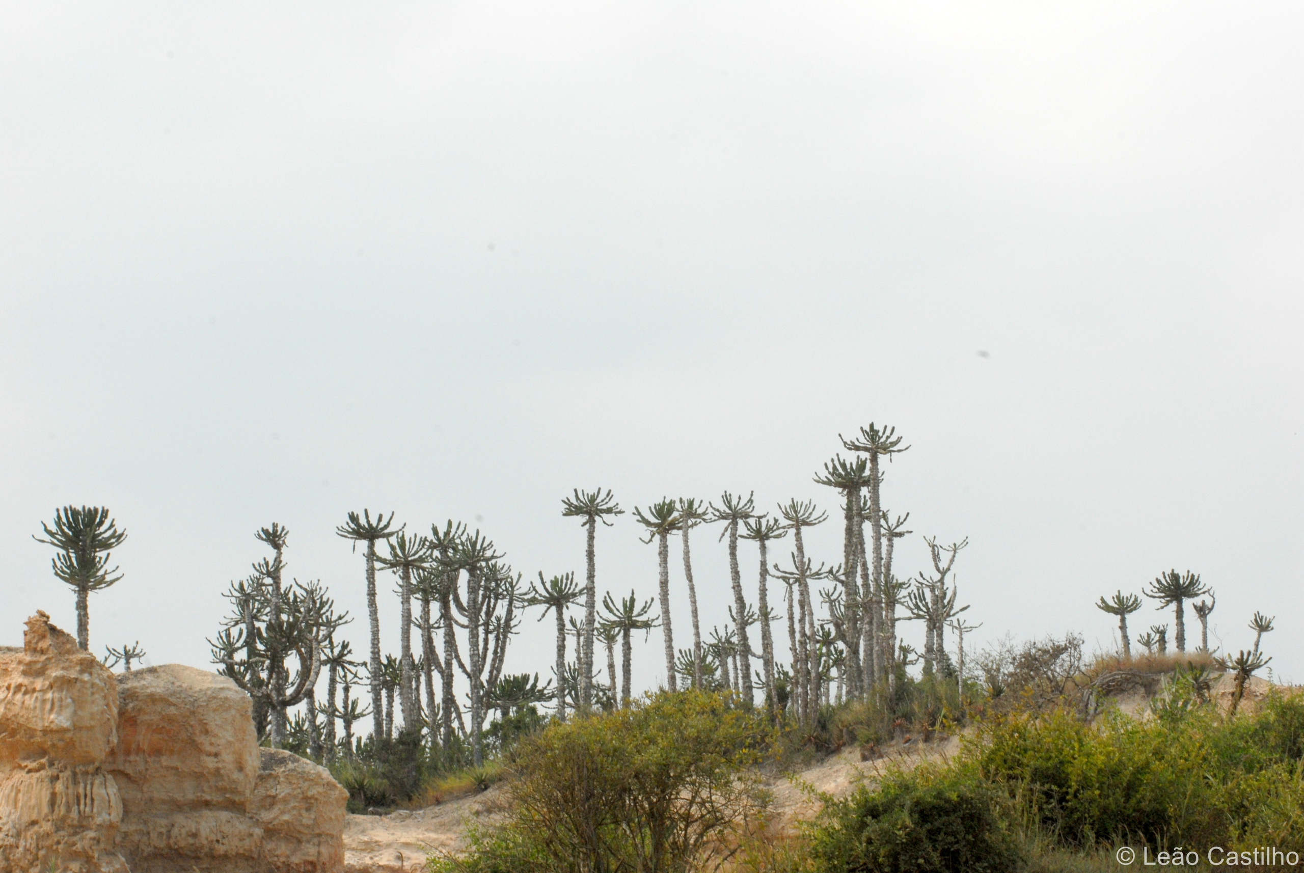 Photos from Angola. Simbahalu