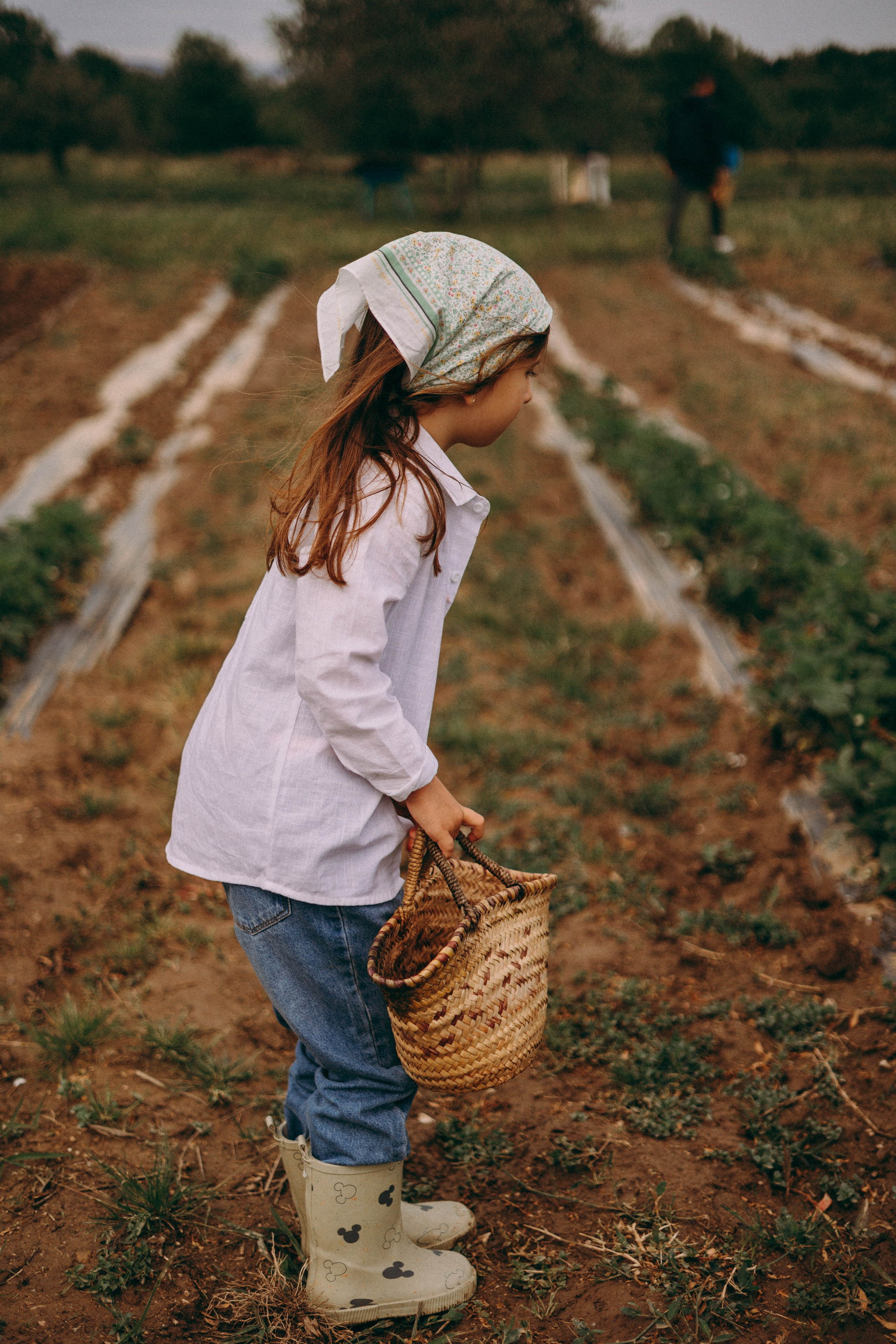 Cueilette fraise. Photographe en Côte d’Azur