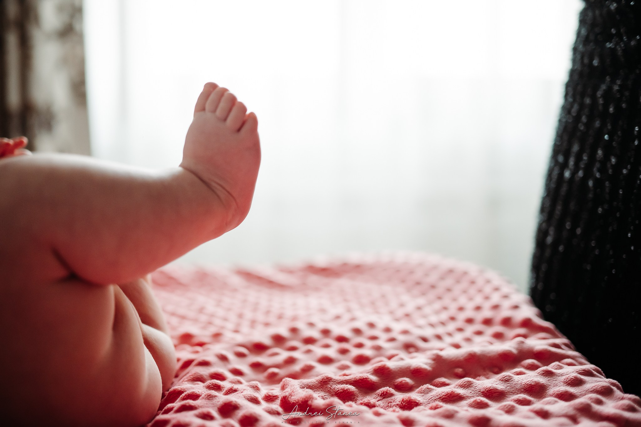 Zenayda. Andrei Stanea