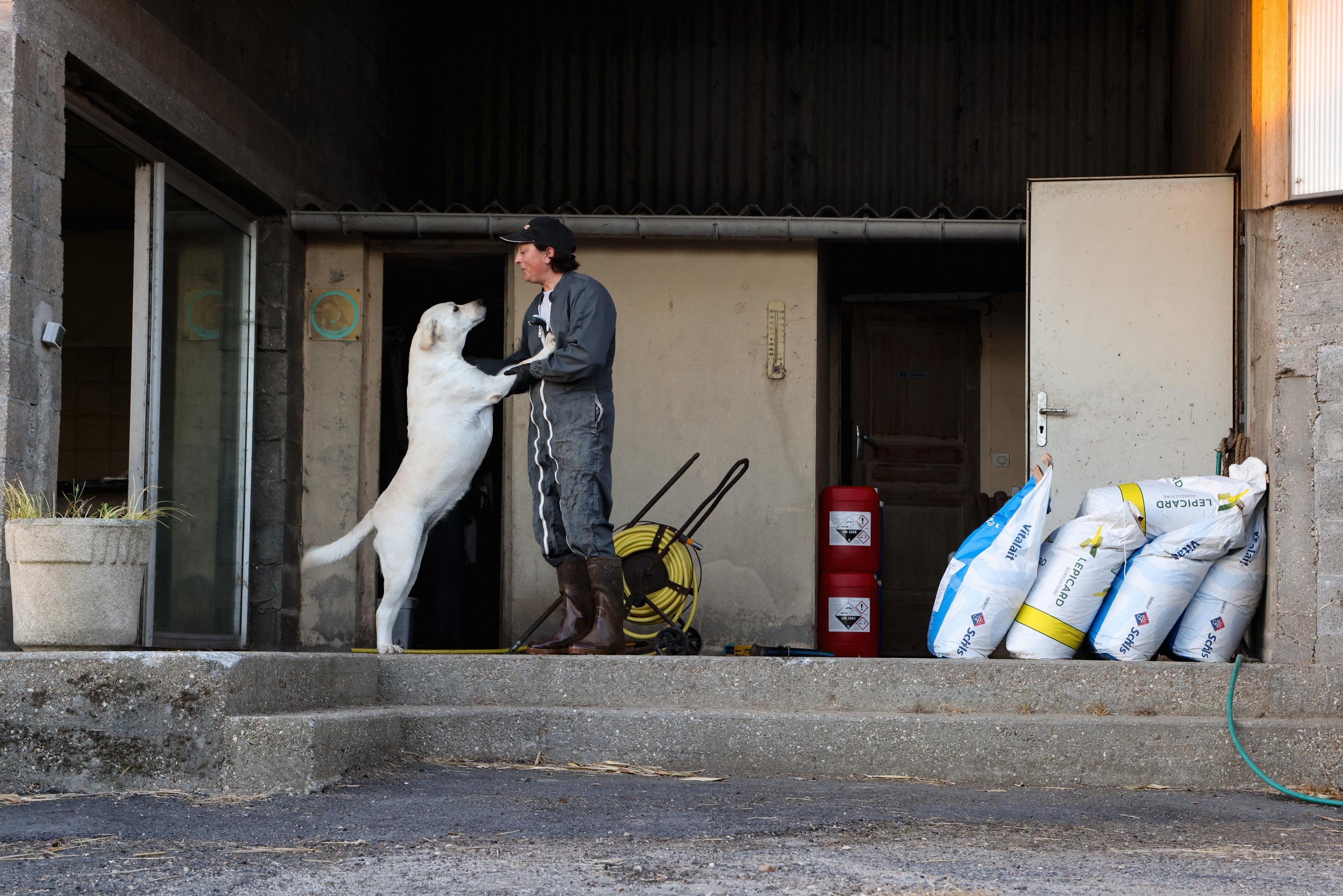 Annonces. Natalia Bogdanovska. Films et photographie corporate en France