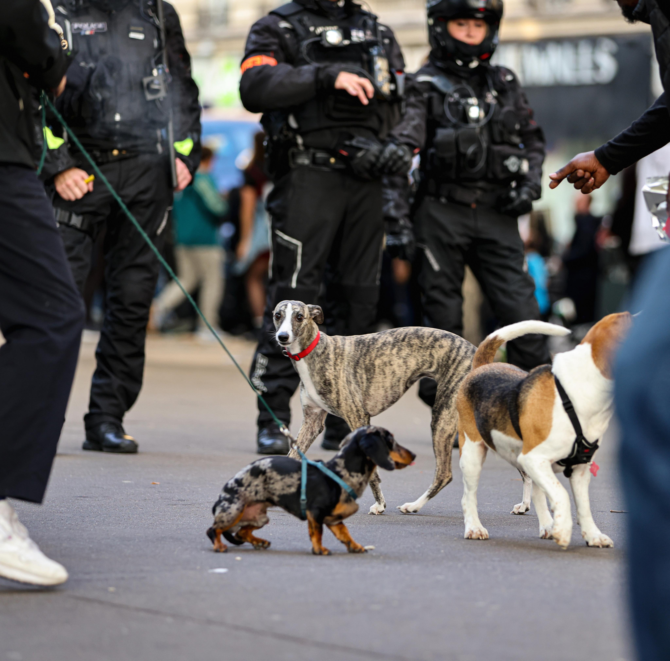 Manifestation 16 octobre 2022. Natalia Bogdanovska. Films et photographie corporate en France