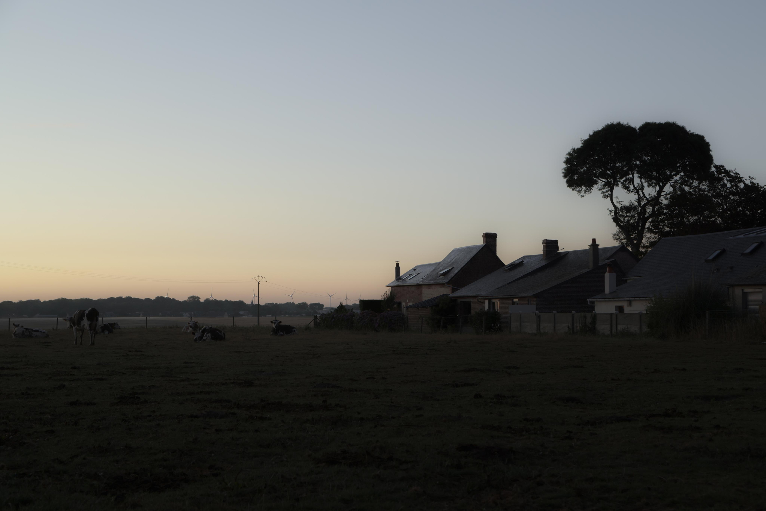 La ferme. Natalia Bogdanovska. Films et photographie corporate en France