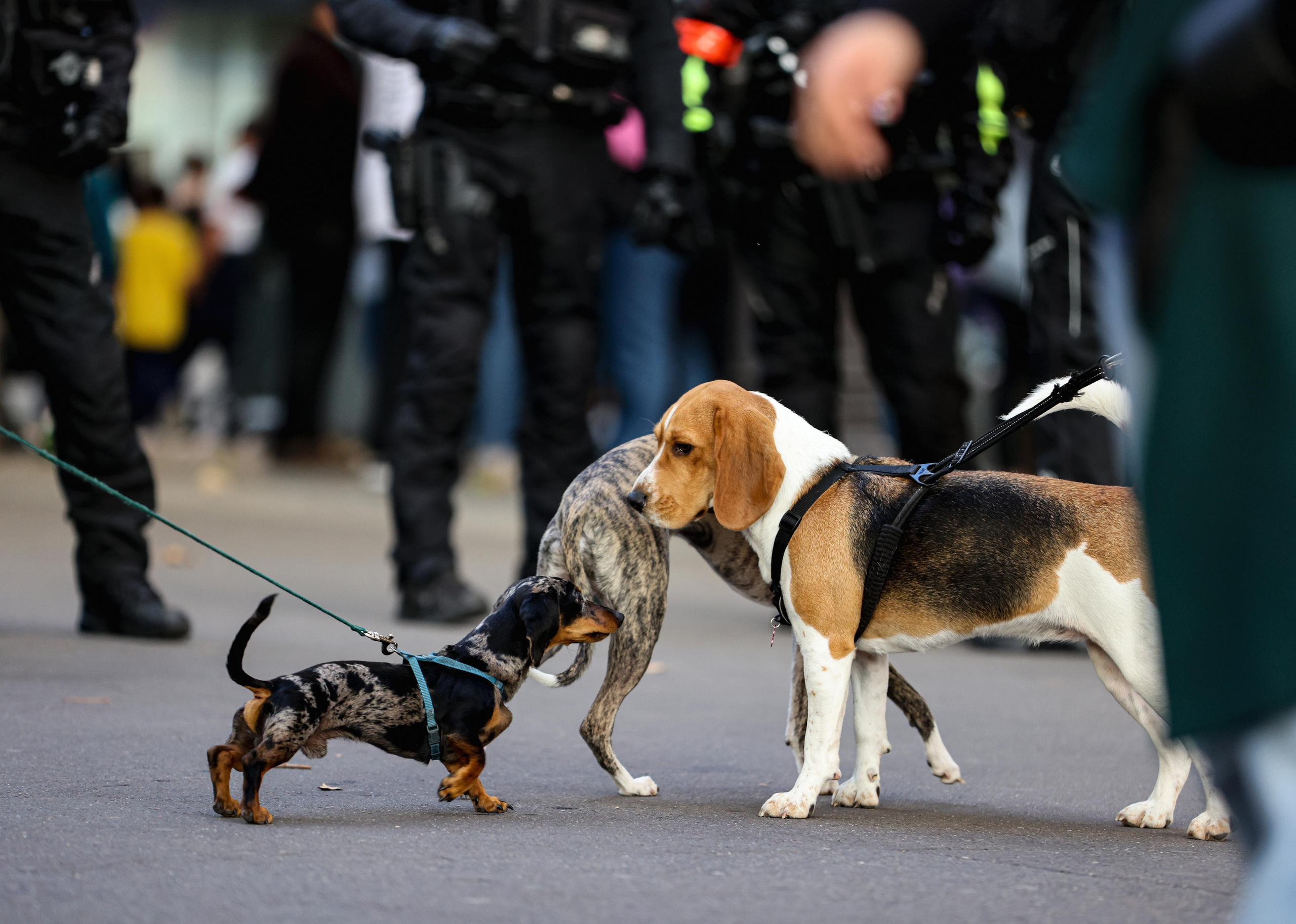 Manifestation 16 octobre 2022. Natalia Bogdanovska. Films et photographie corporate en France