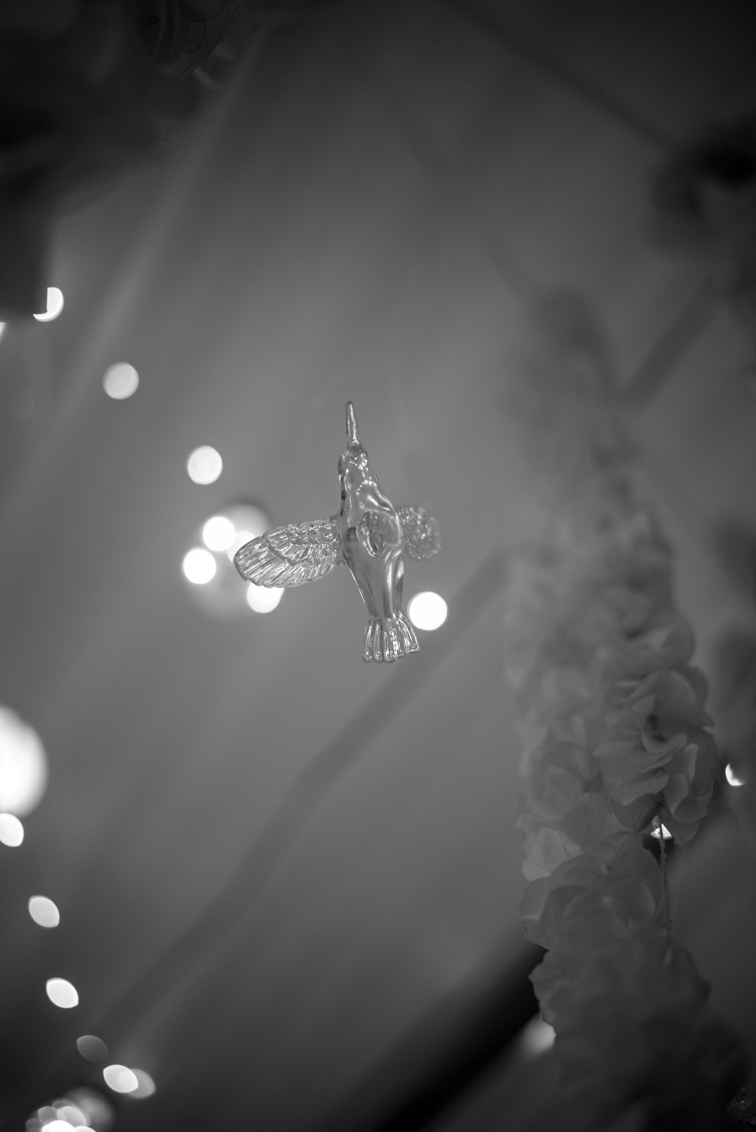 CeeBee01 Events. Portrait & Brand Photographer in Bradford, West Yorkshire