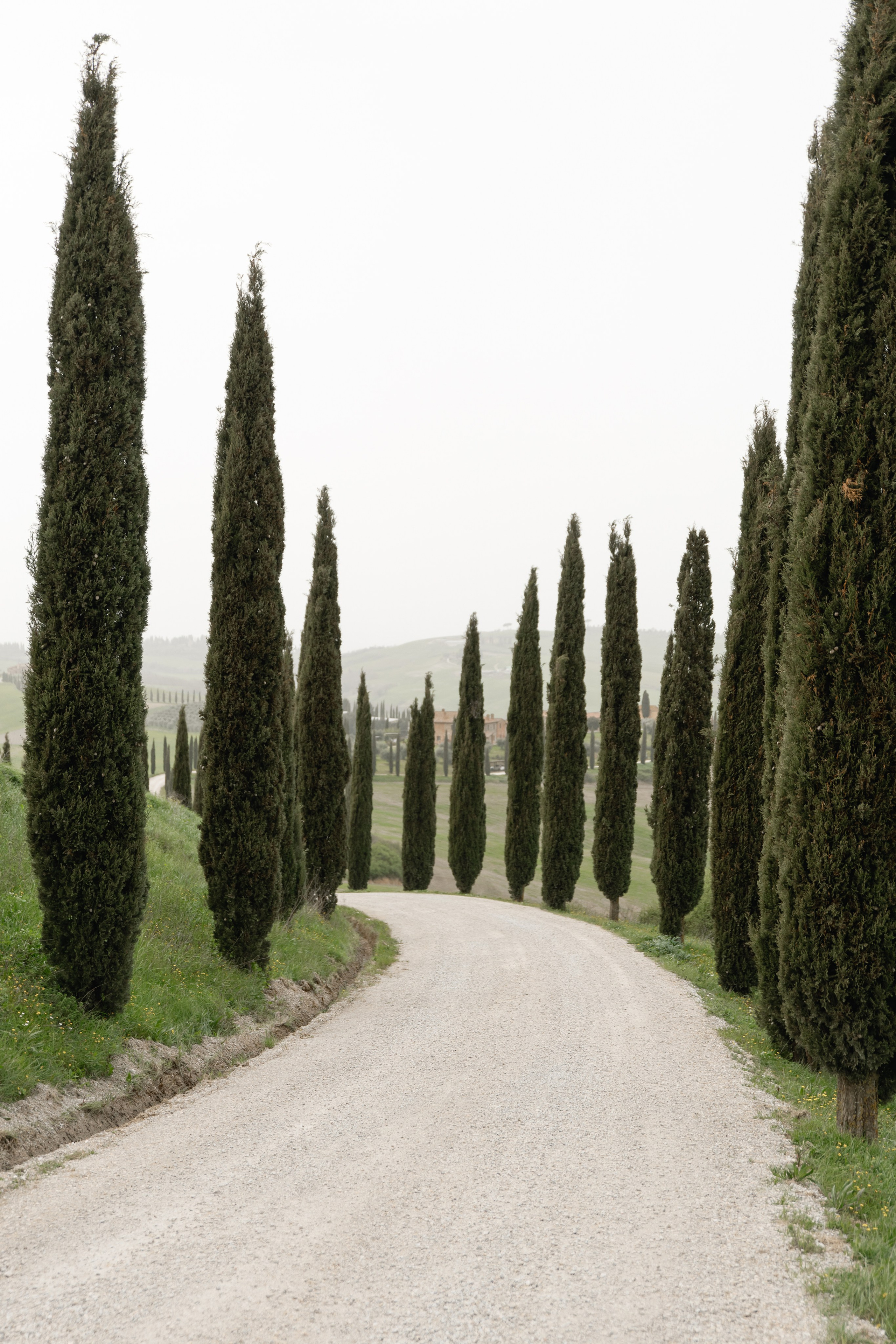 Wedding photographer Italy Rome, Tuscany, Lake Como, Sicily, Puglia. Wedding Photographer Rome Tuscany Como Sicily Puglia Amalfy Italy- Oksana Savenchuk