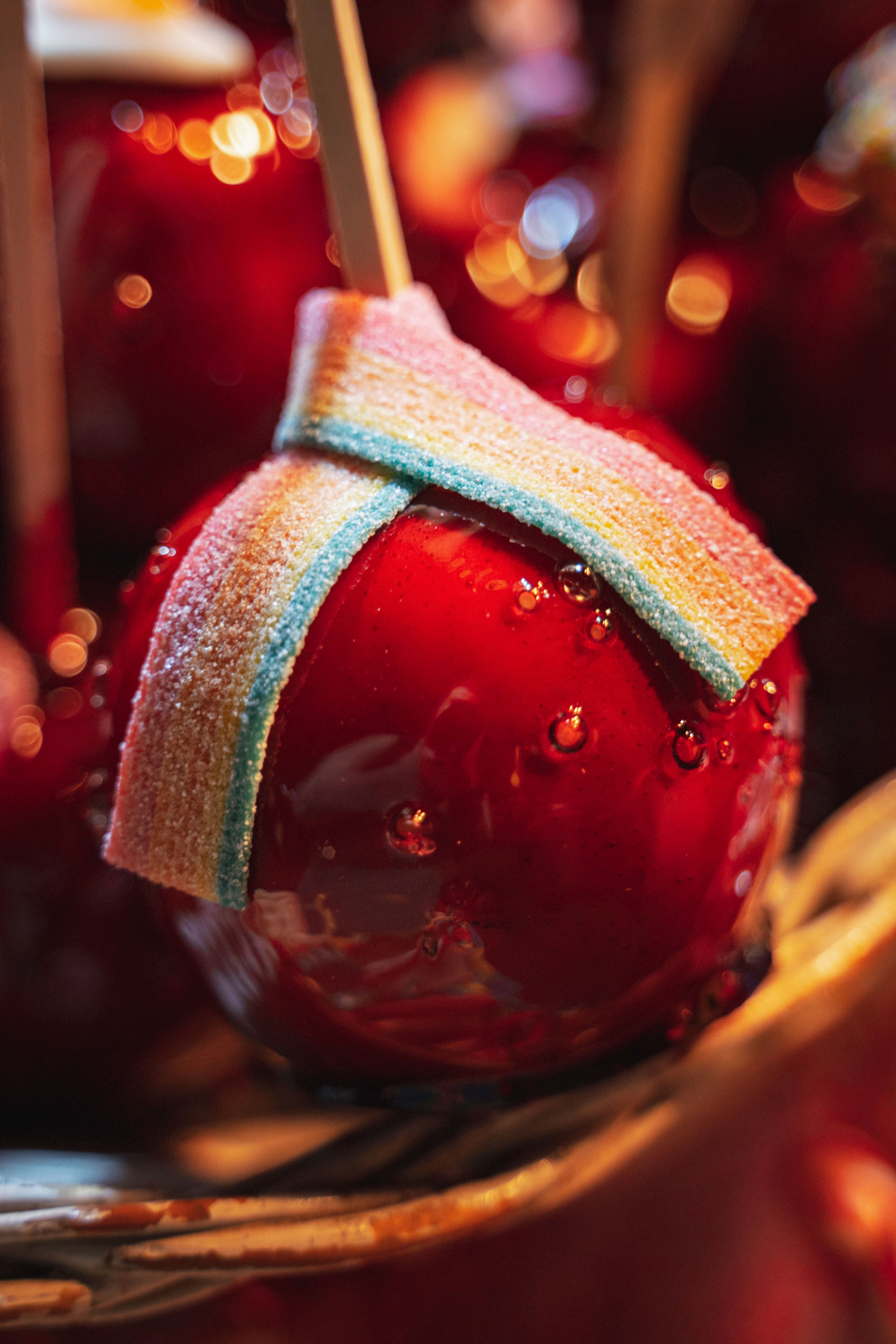 Novosadski Zimzolend. Жуков Студио