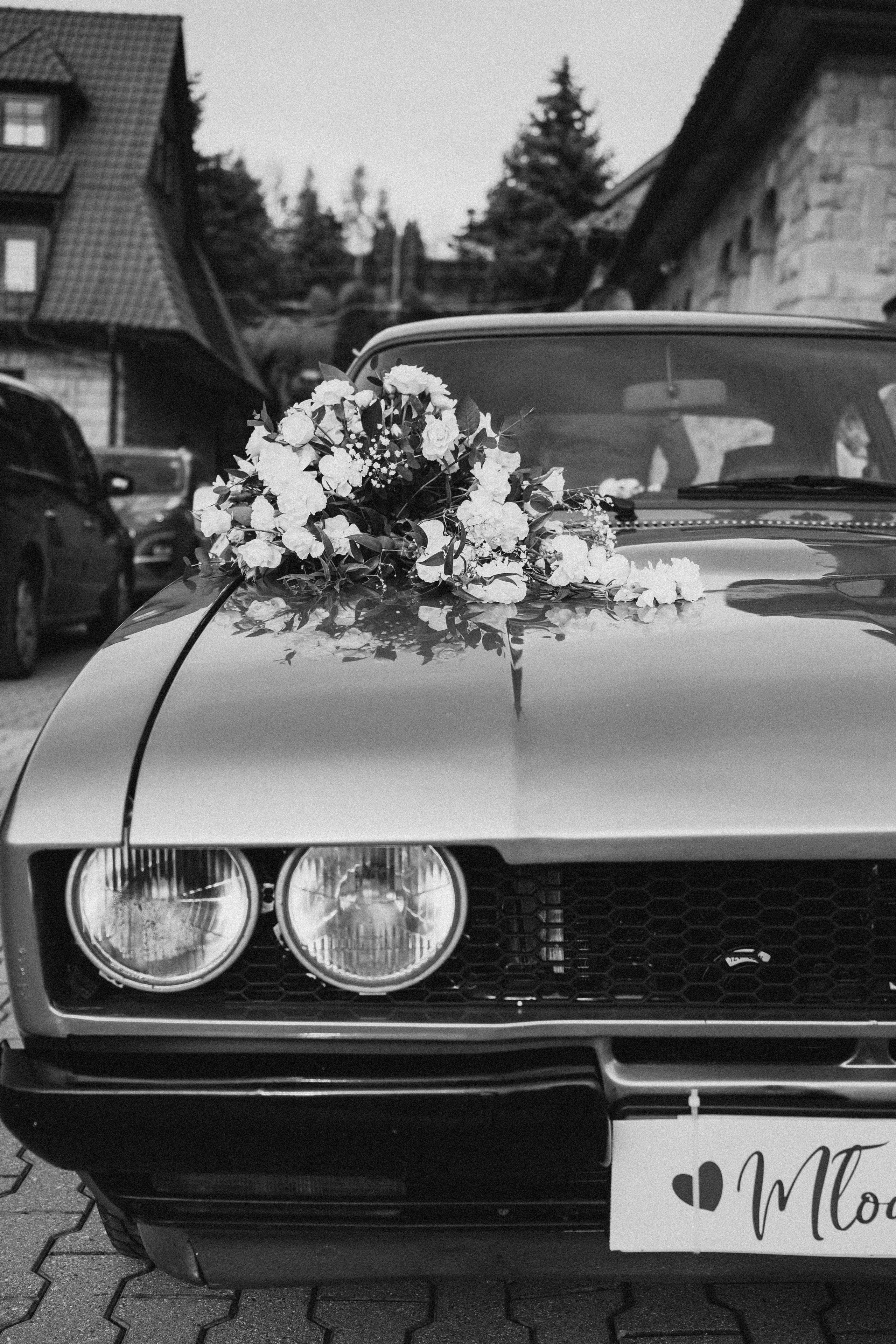 Fotograf Mykhalchuk Inna Kraków