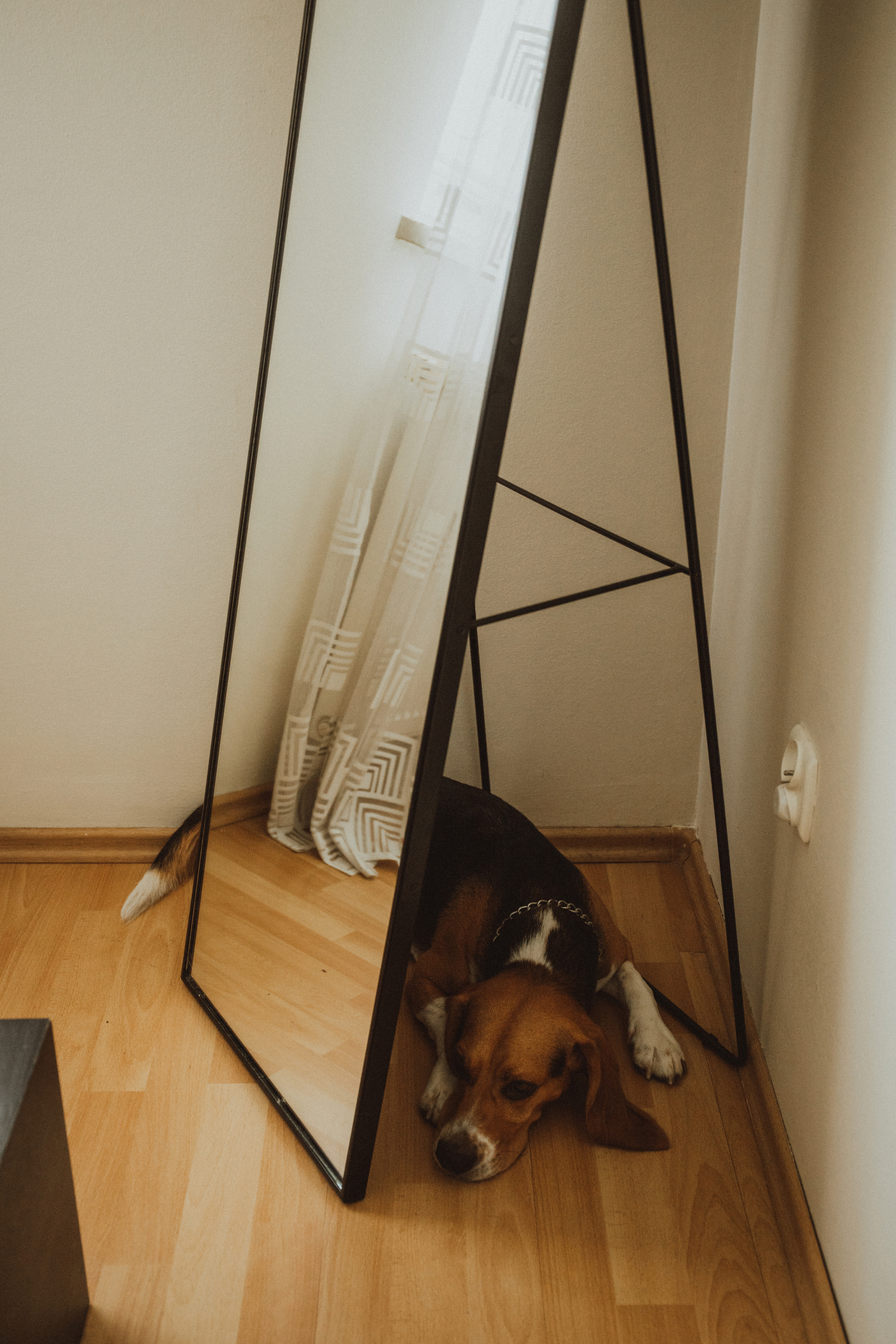 ALESIA DIMA MIRON. Fotograf Mykhalchuk Inna Kraków