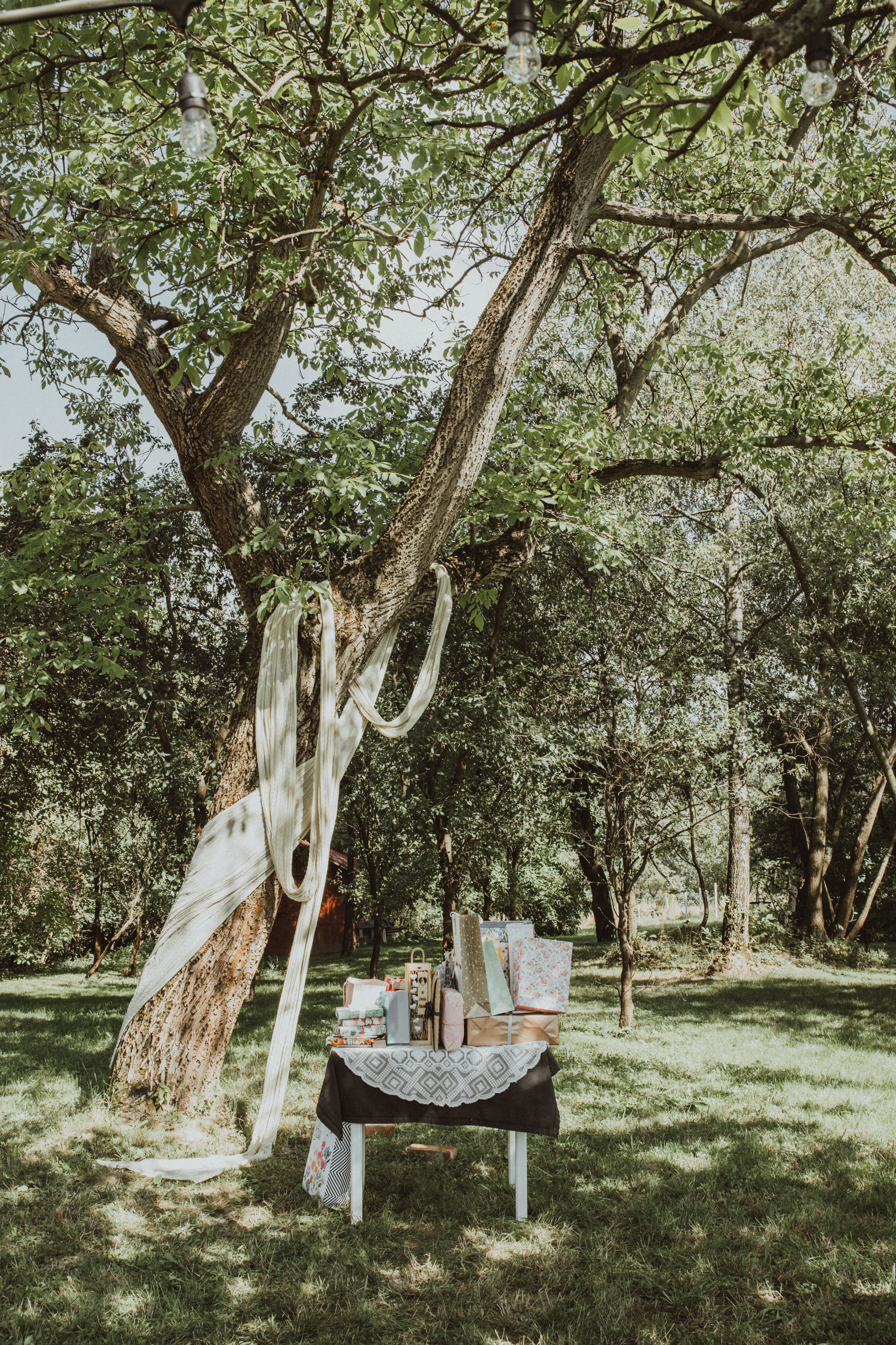 NATALIA MATEUSZ. Fotograf Mykhalchuk Inna Kraków