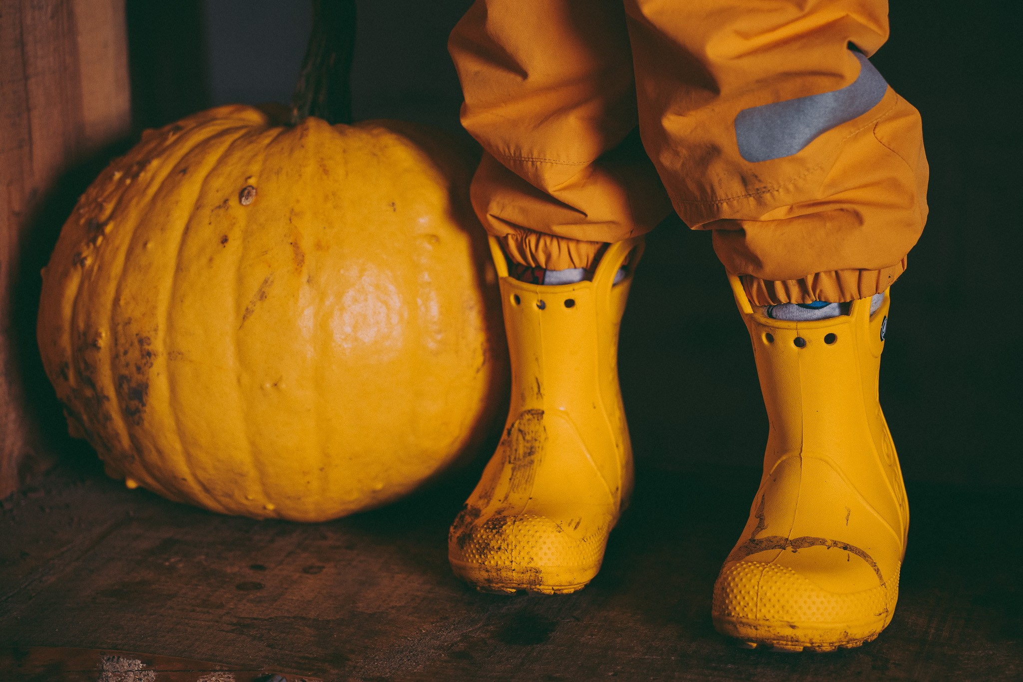 Pumpkins picking photo shoot in Solihull. Creative Family, Brand, Boudoir and Wedding Photographer in Solihull & Birmingham Irina Zoteeva