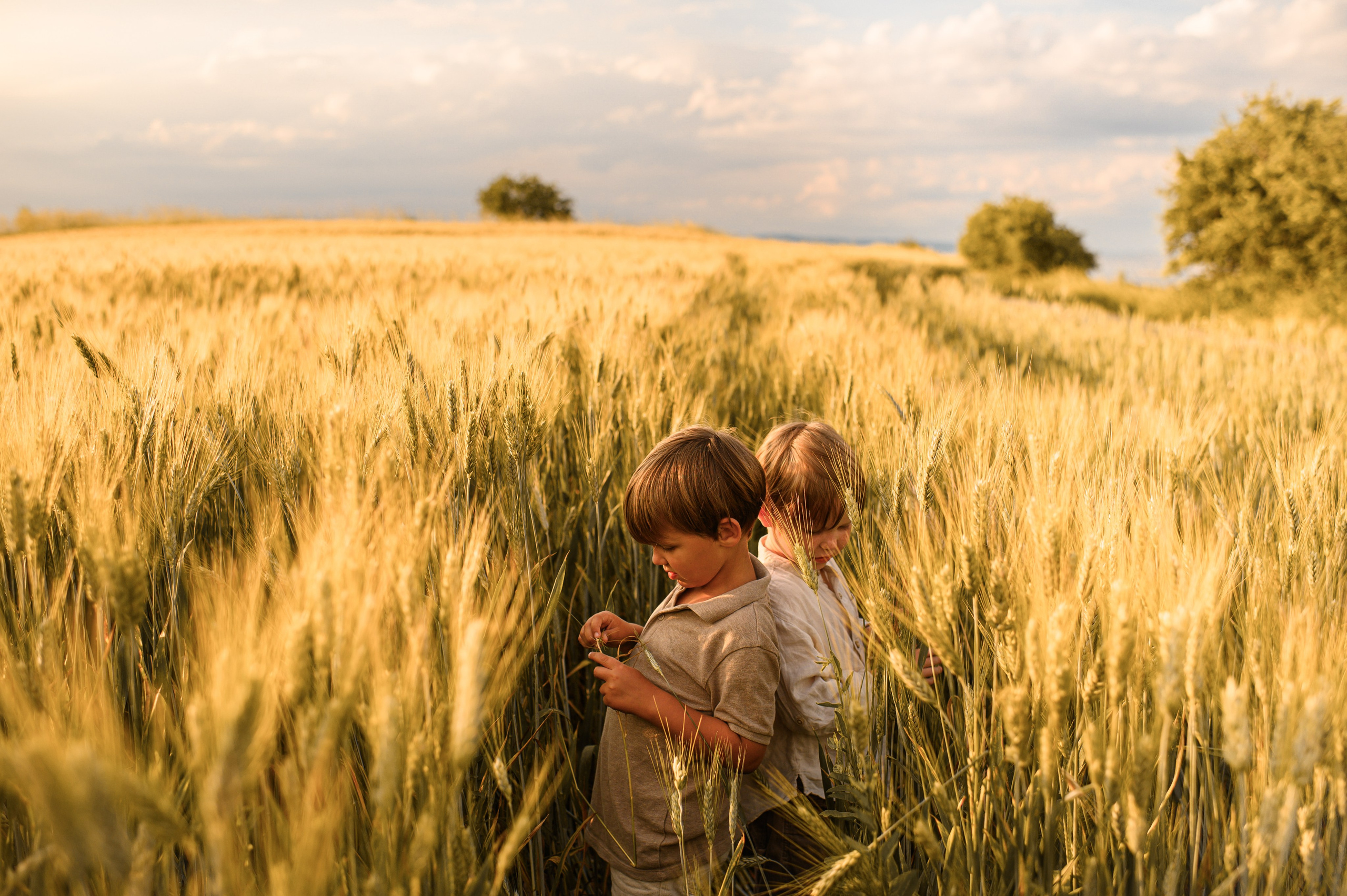 Wheat fields. Family, children, portrait, and event photography in Thessaloniki