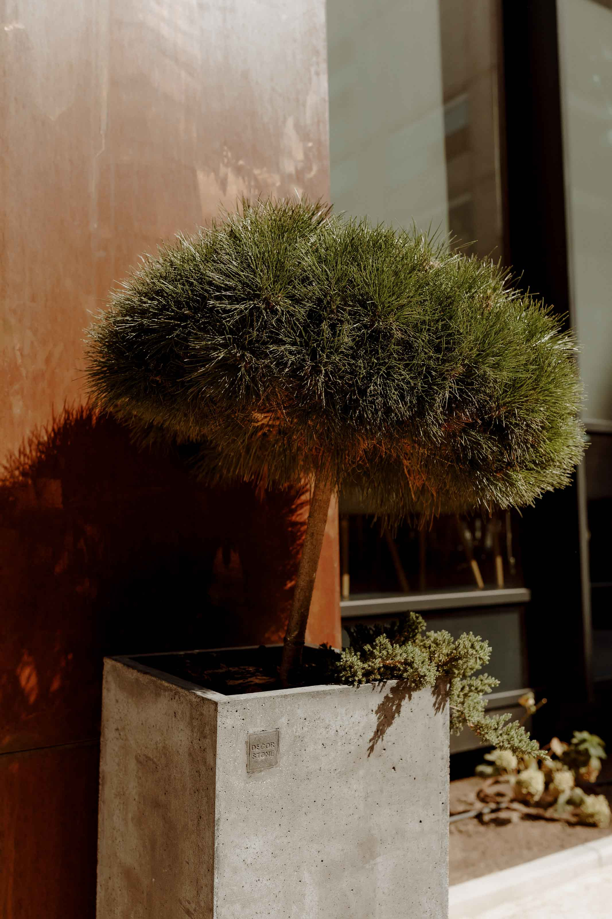 Dragoste pe buze. Servicii Foto Video în Chișinău și Europa ID-Brothers