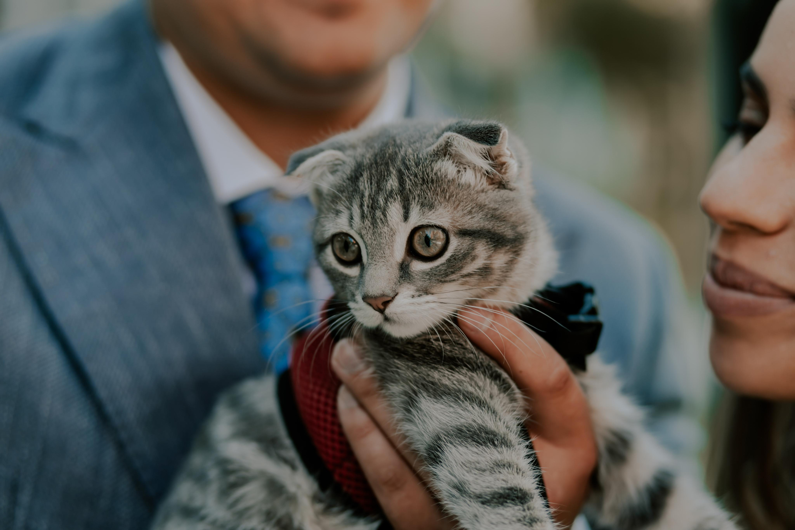 Servicii foto-video!