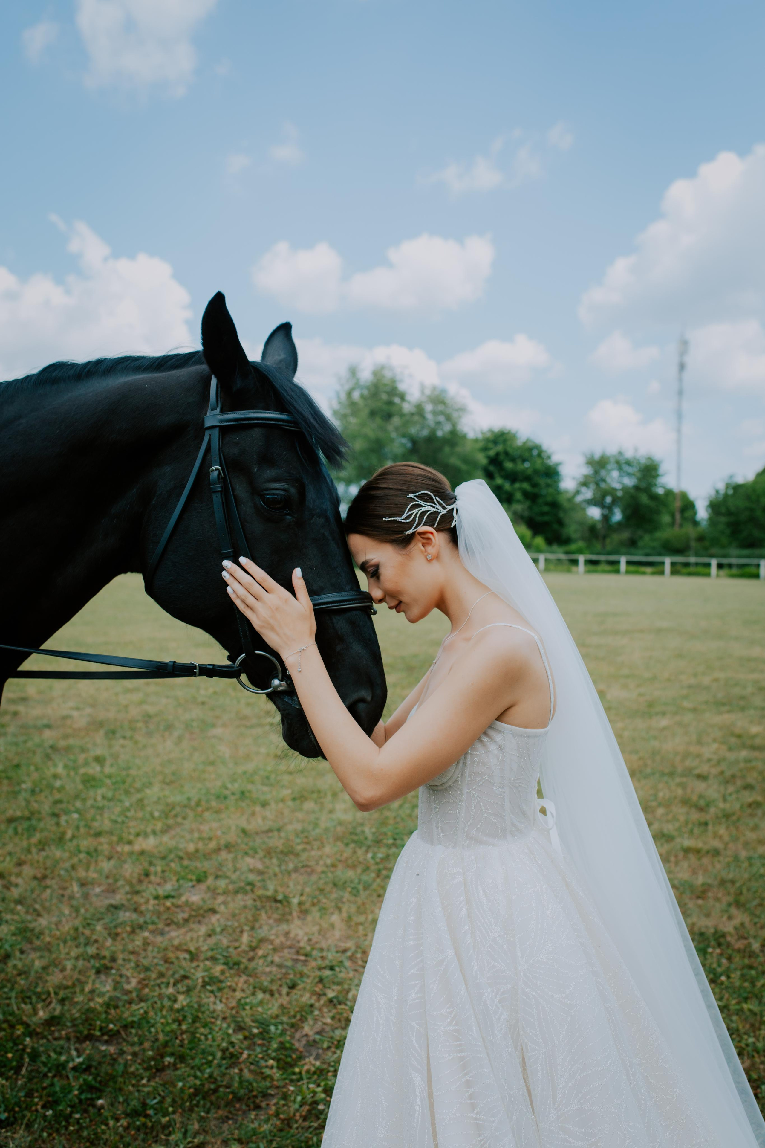 Servicii foto-video!