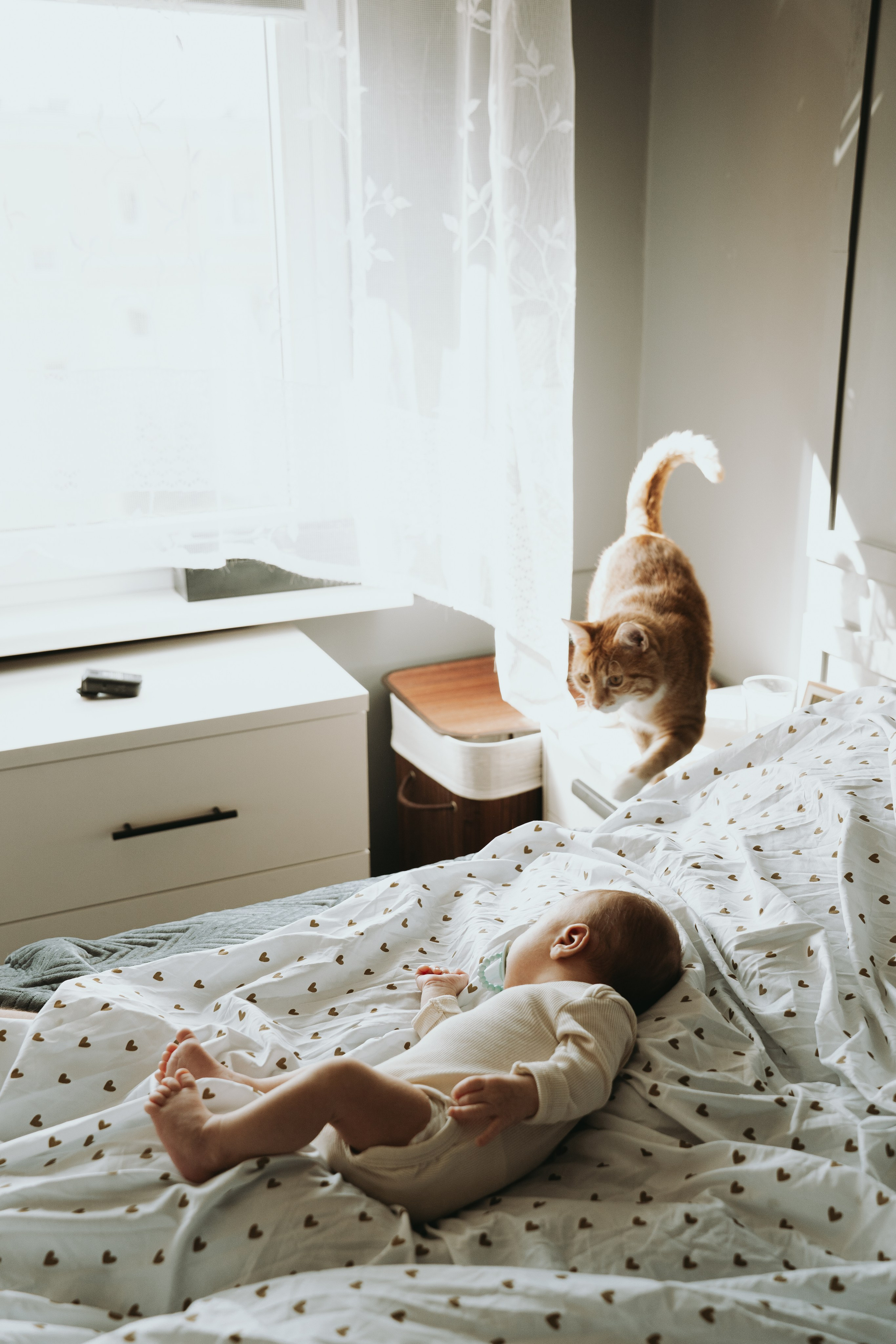 Sesje noworodkowe. Ania Smol Fotograf Olsztyn