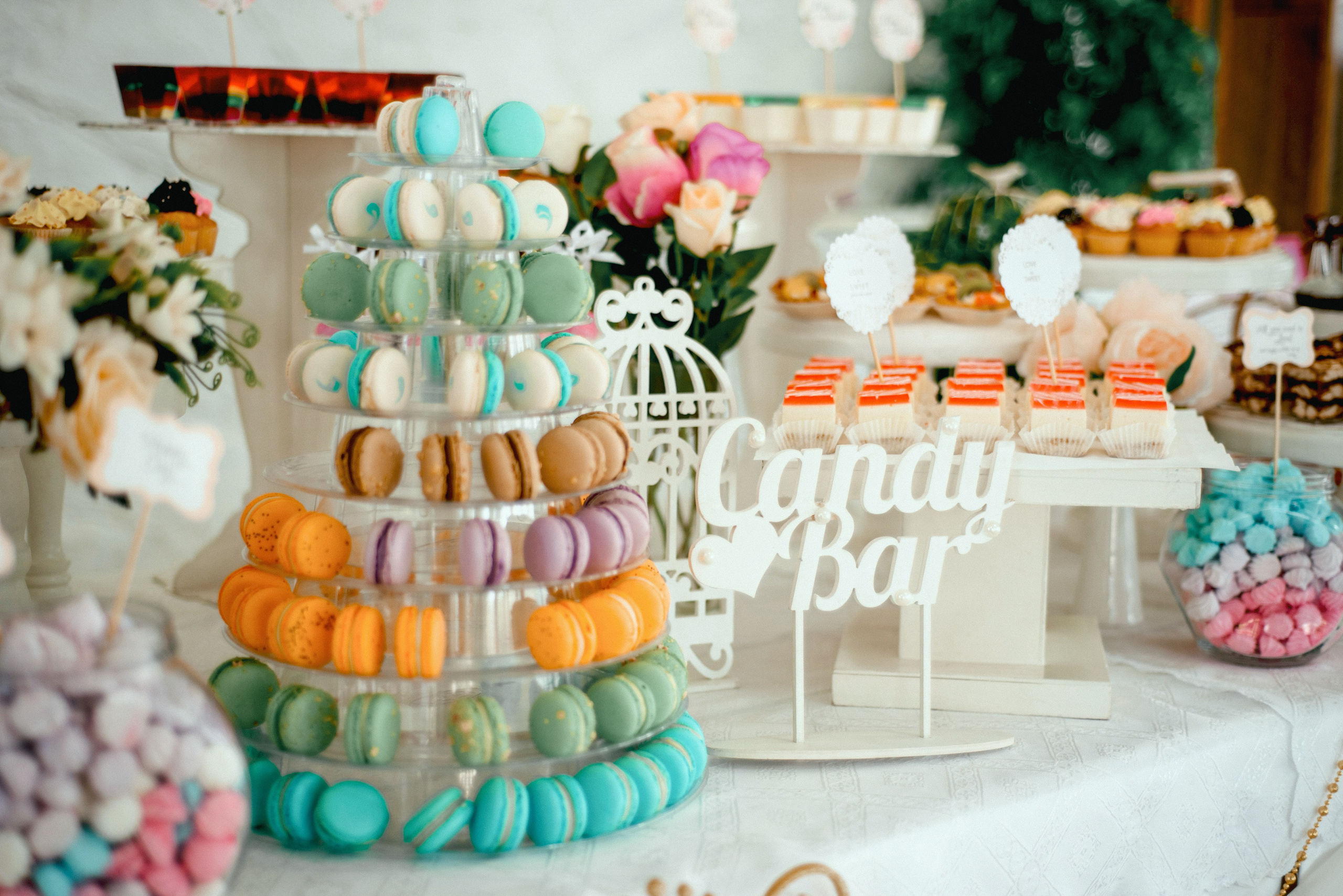 Cristina & Vadim. Fotograf de familie și evenimente