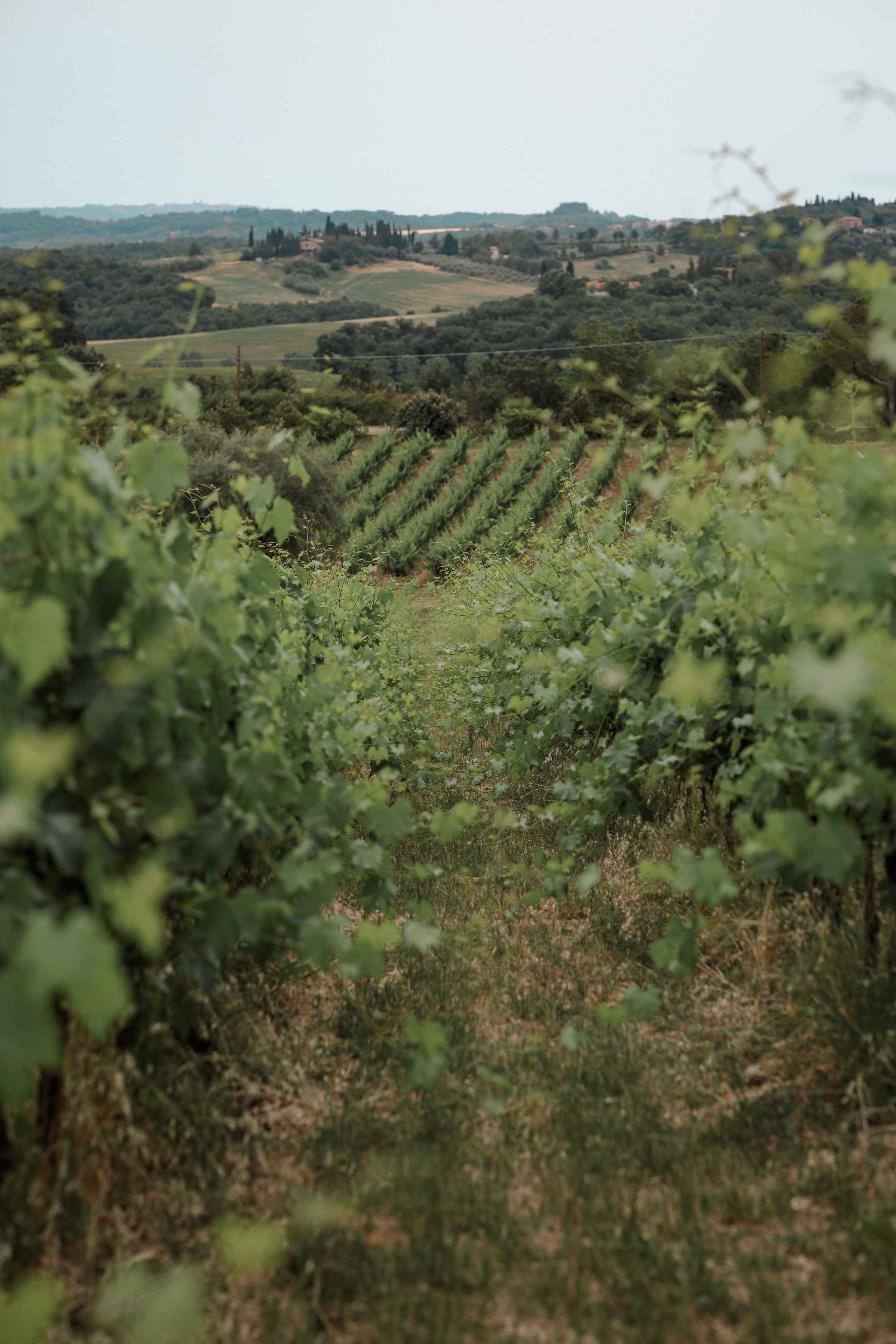 Anastasiya and Valeriy. Photographer in Milan |Mila Pro Photo