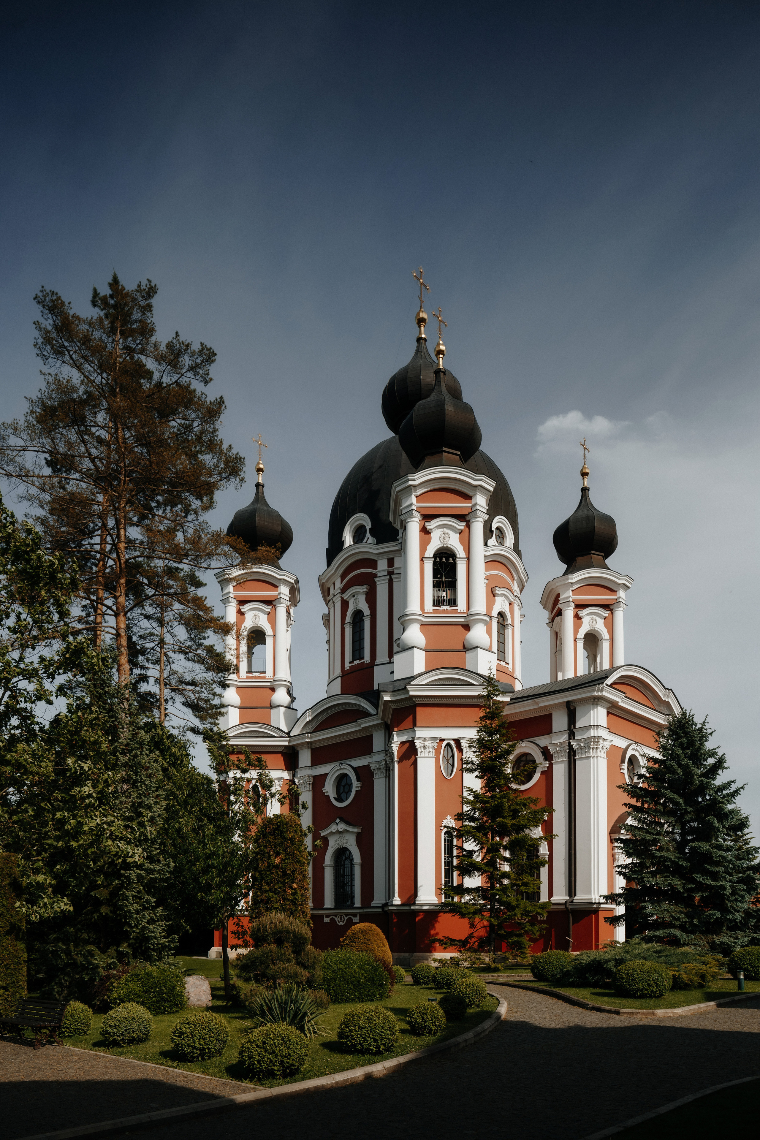 curchi nunta foto video