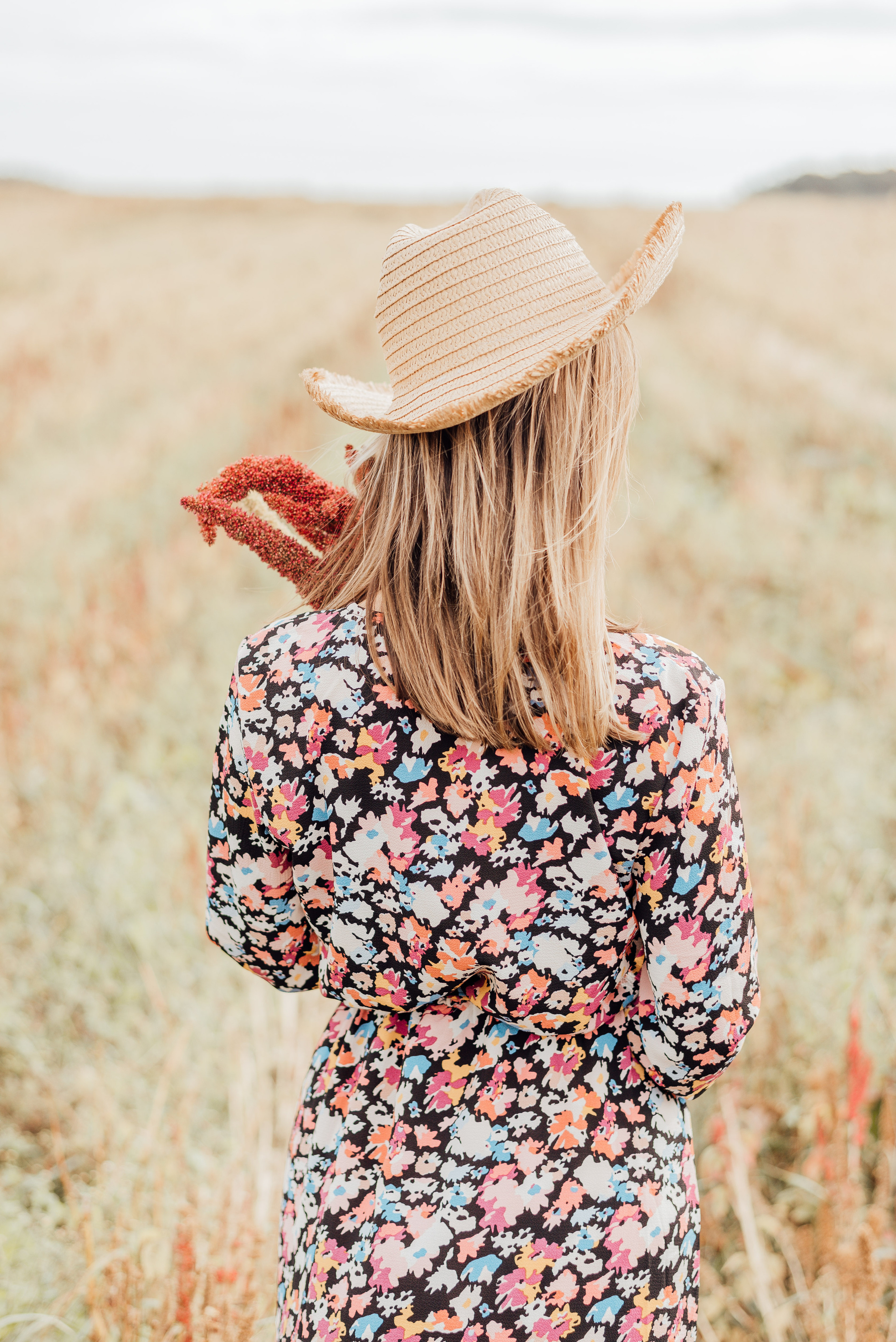 APPLE TREES. Photographer in Nuremberg Irina Mehnert from Ansbach