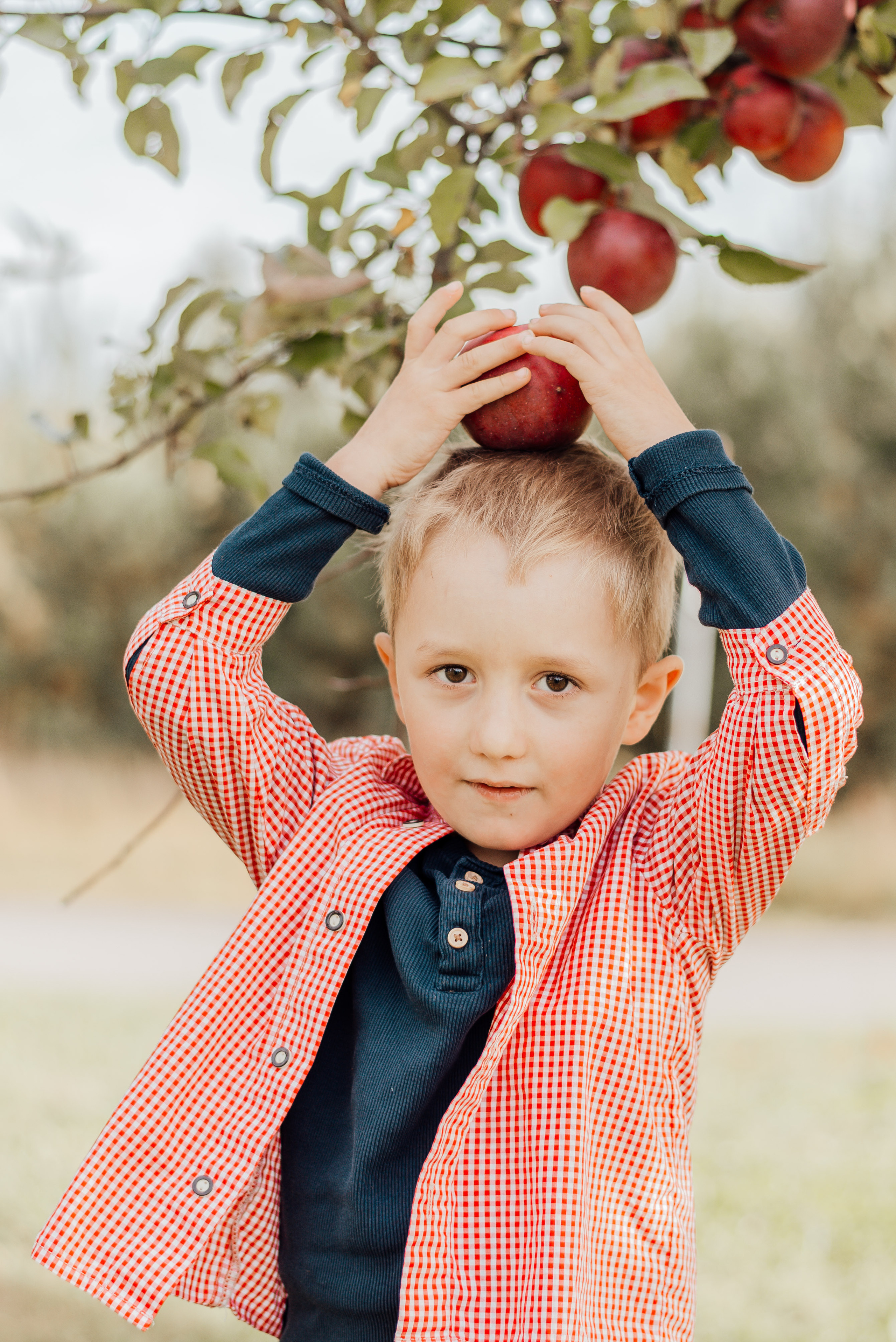 APPLE TREES. Photographer in Nuremberg Irina Mehnert from Ansbach
