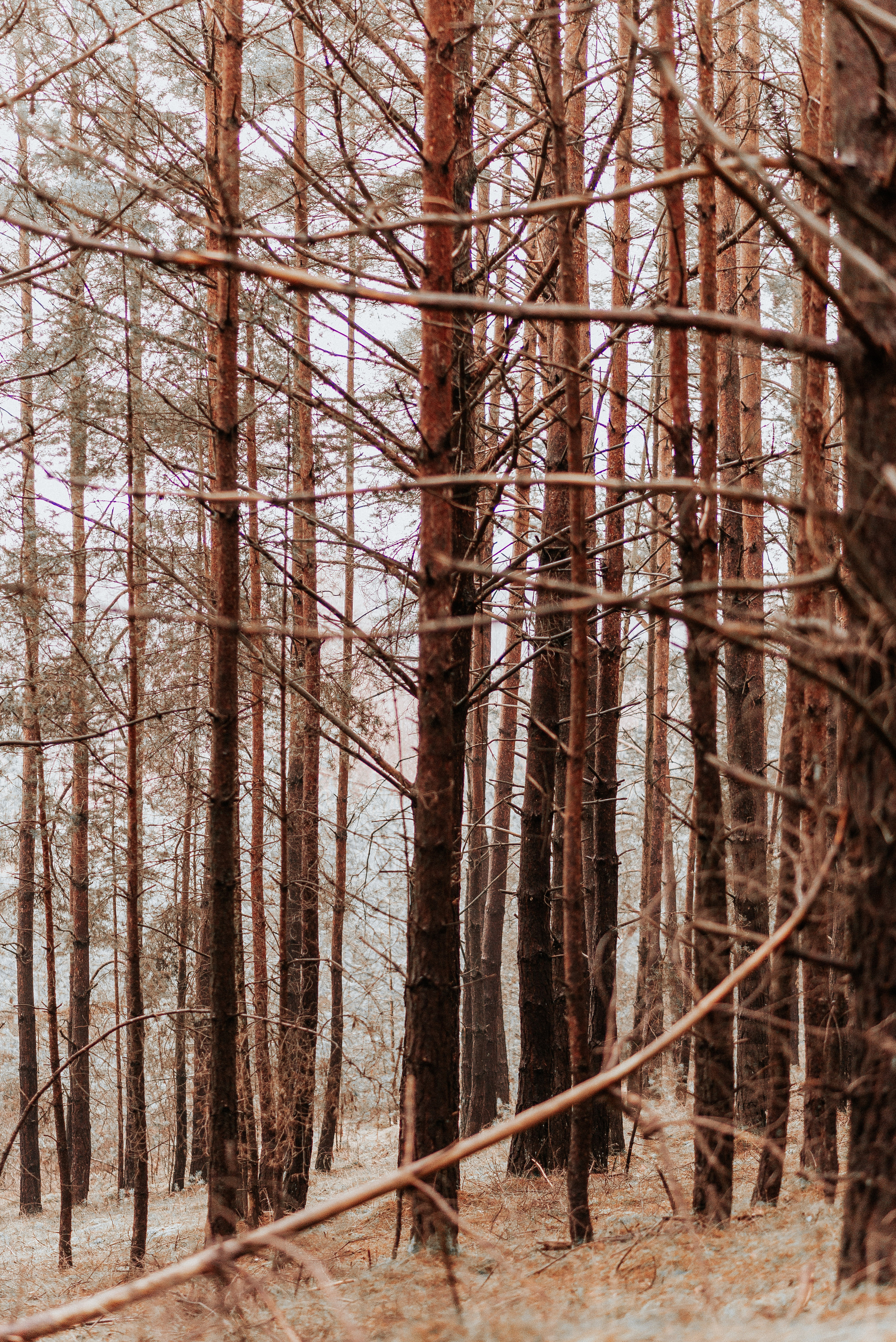 ВРЕМЯ С ПАПОЙ. Фотограф в Нюрнберге Ирина Менерт из Ансбаха