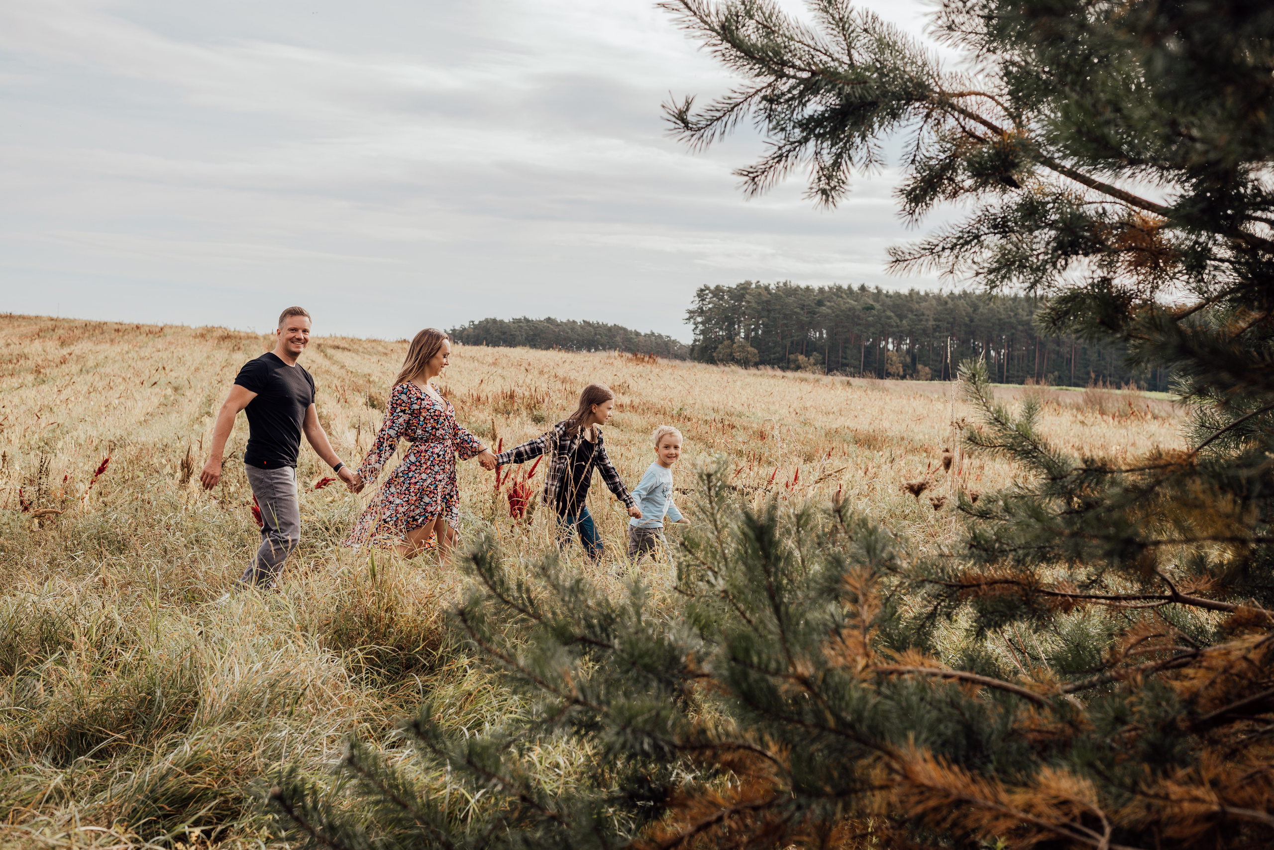 APPLE TREES. Photographer in Nuremberg Irina Mehnert from Ansbach