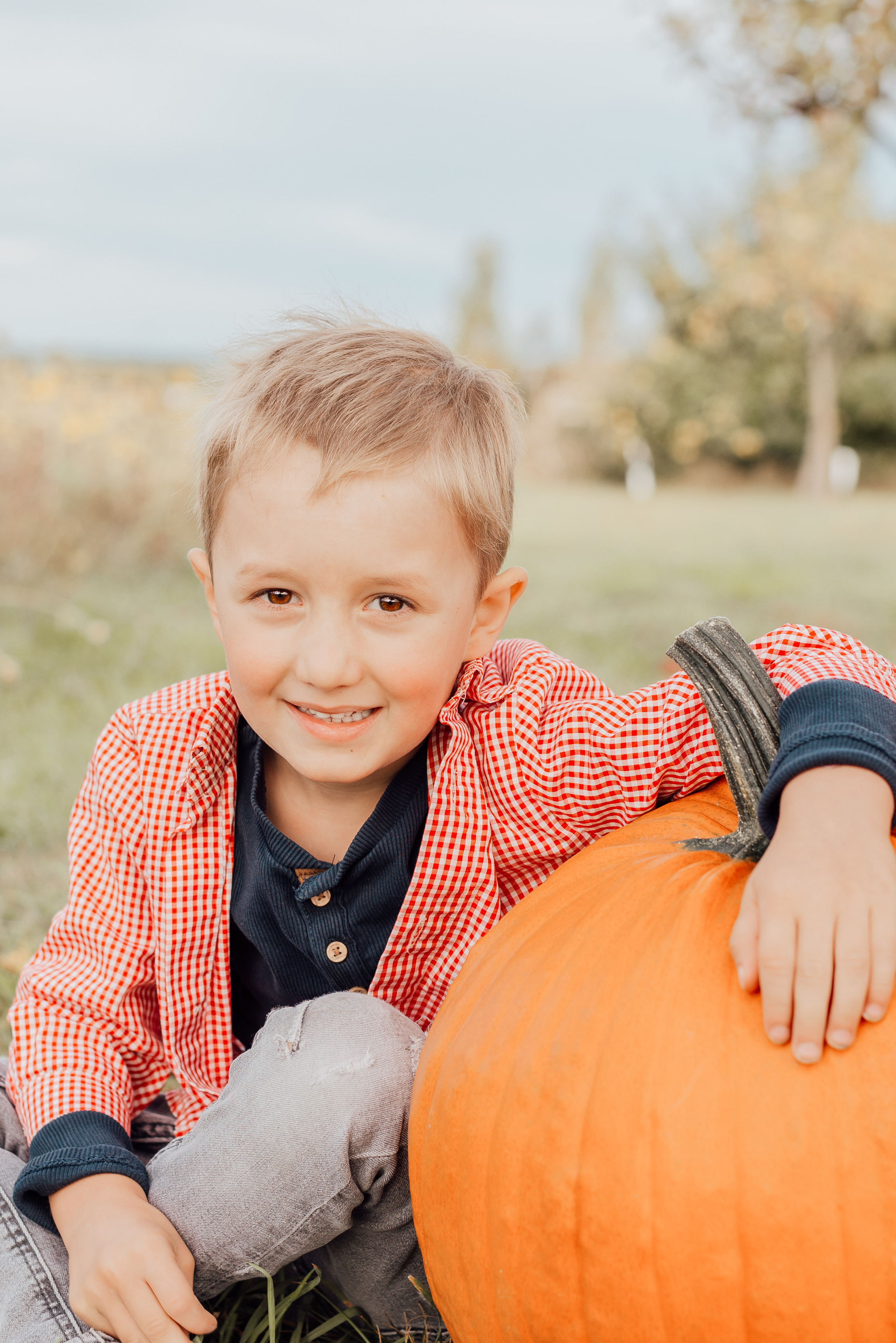 APPLE TREES. Photographer in Nuremberg Irina Mehnert from Ansbach