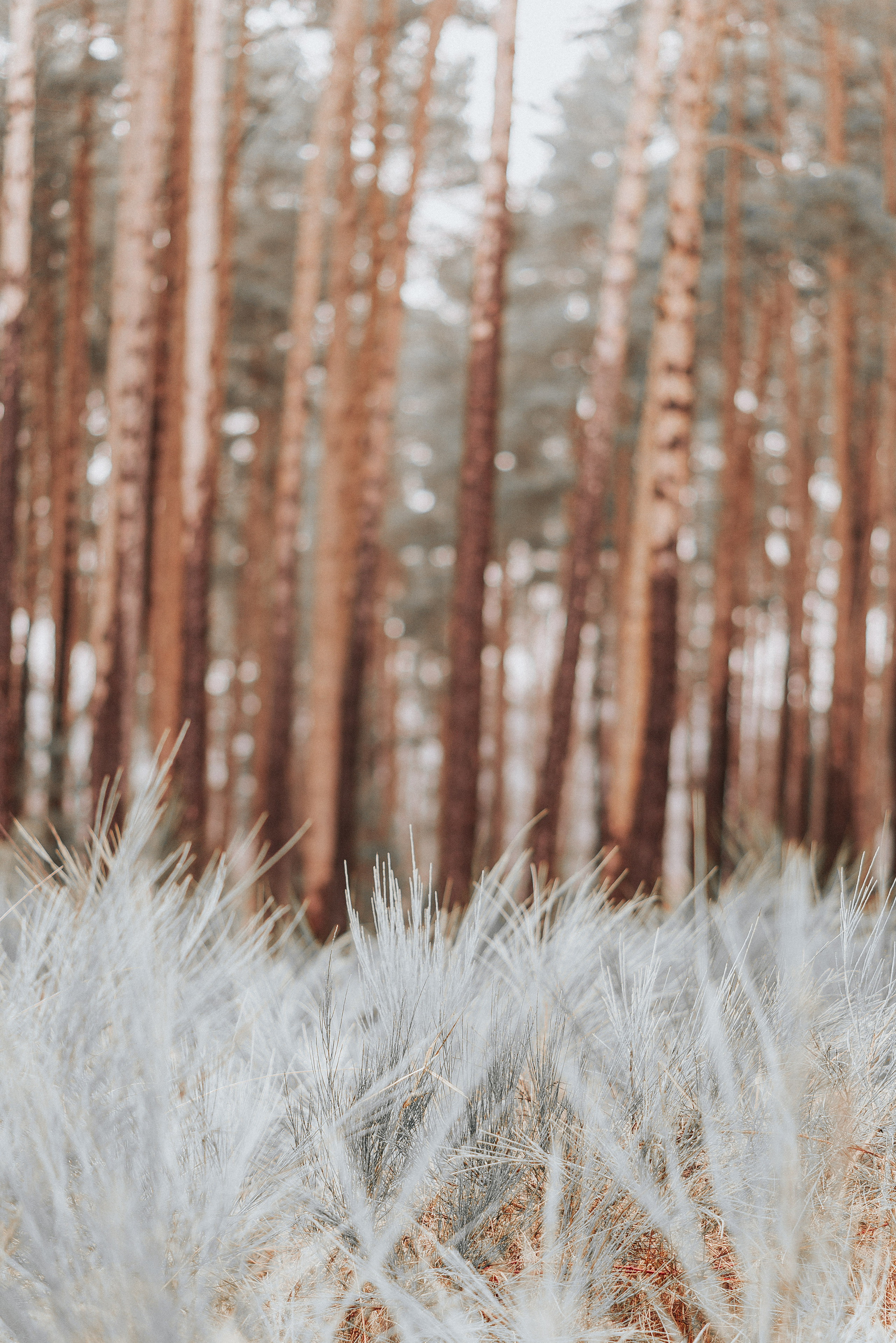 ВРЕМЯ С ПАПОЙ. Фотограф в Нюрнберге Ирина Менерт из Ансбаха