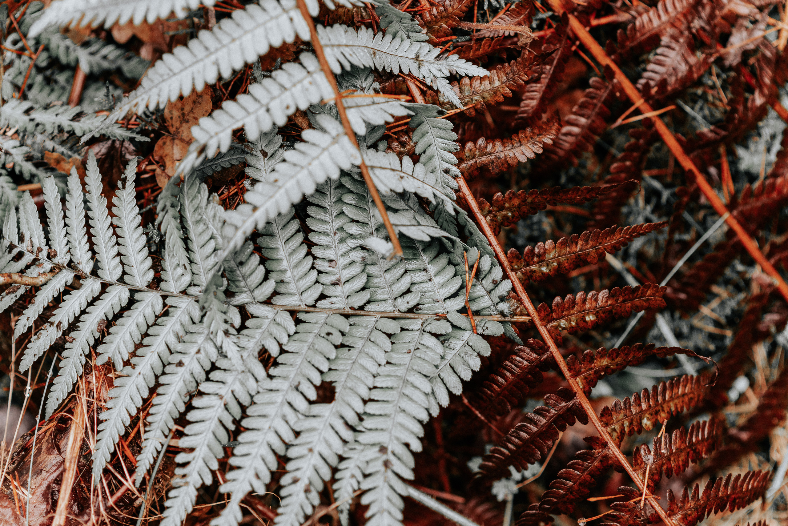 ВРЕМЯ С ПАПОЙ. Фотограф в Нюрнберге Ирина Менерт из Ансбаха