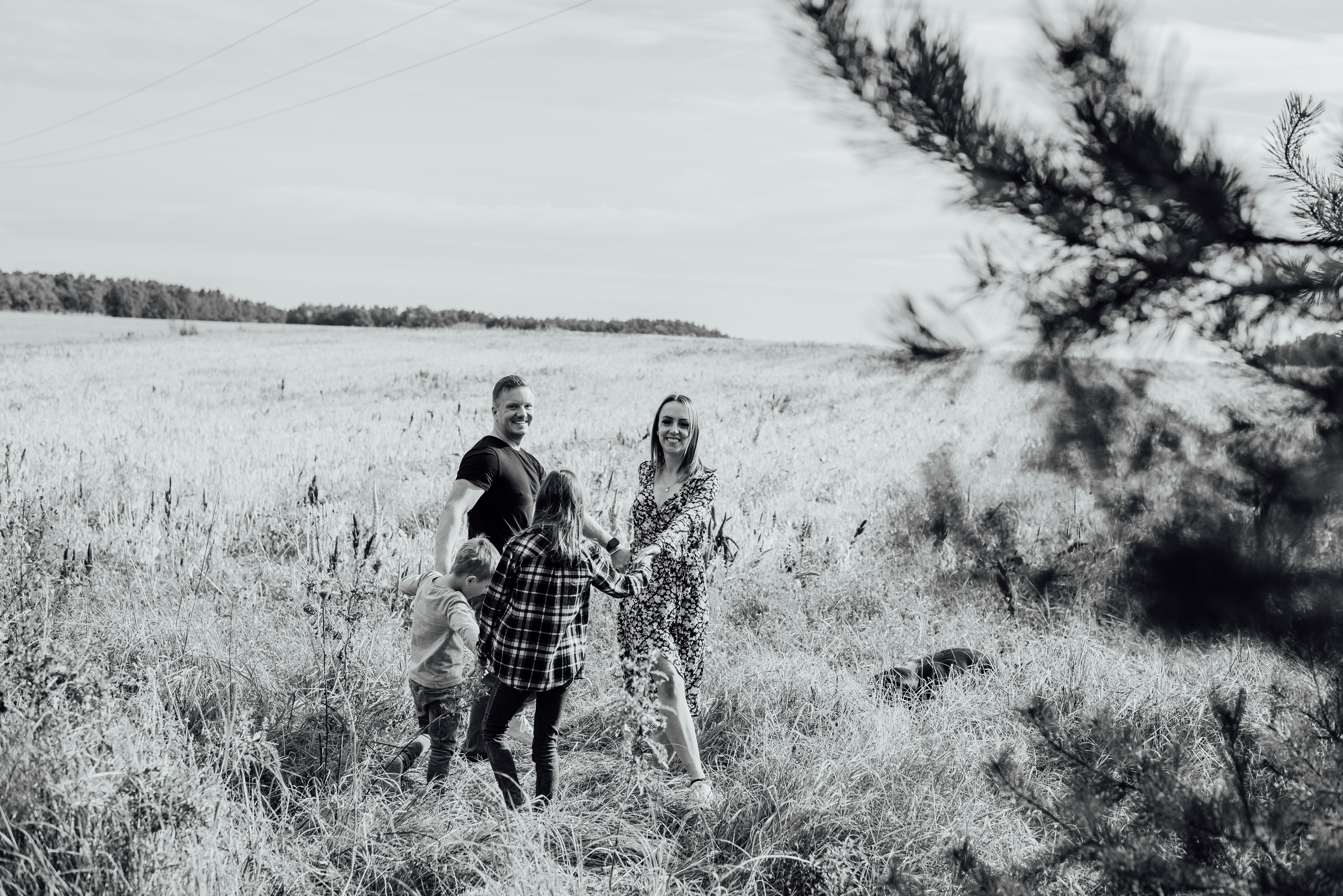APPLE TREES. Photographer in Nuremberg Irina Mehnert from Ansbach
