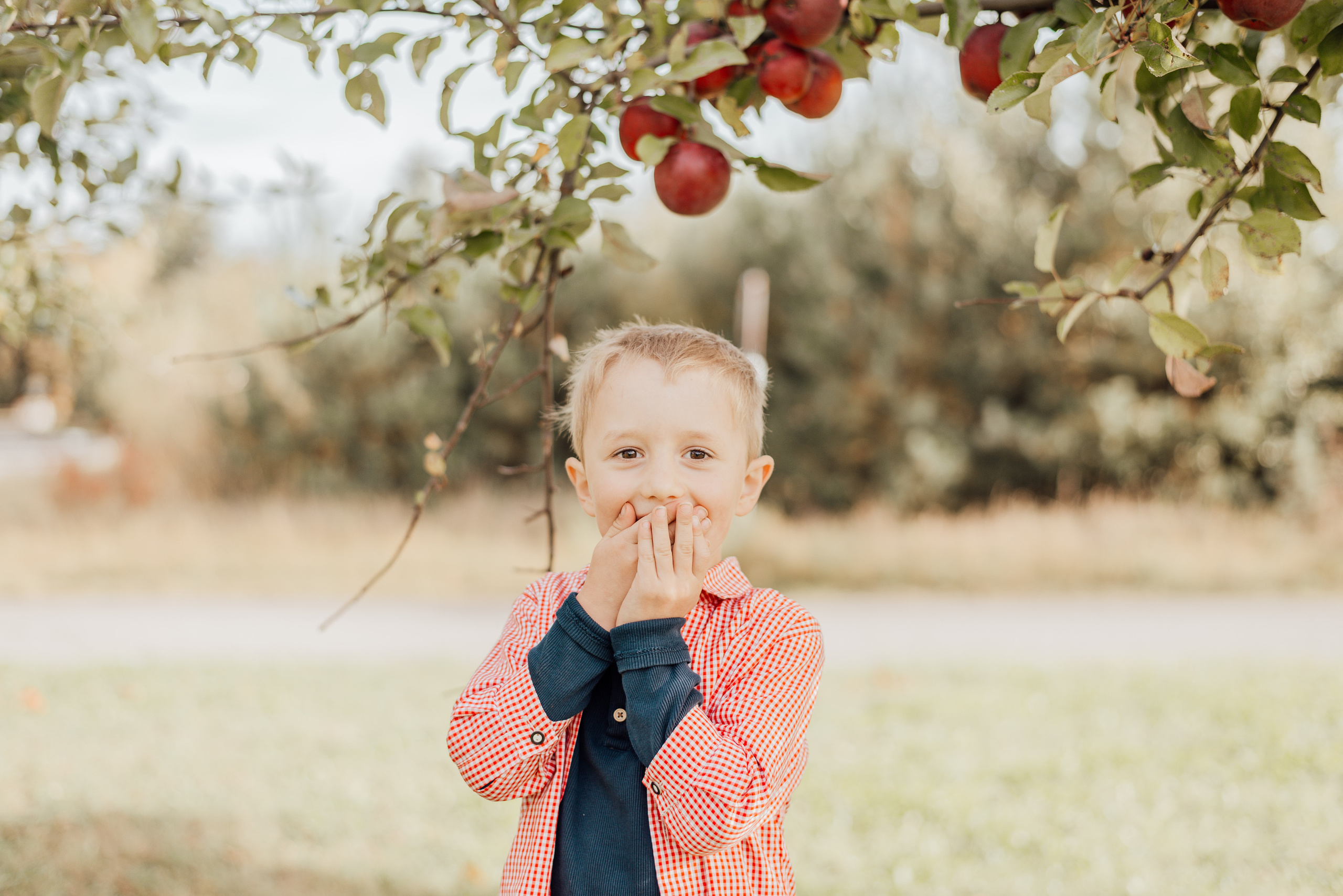APPLE TREES. Photographer in Nuremberg Irina Mehnert from Ansbach