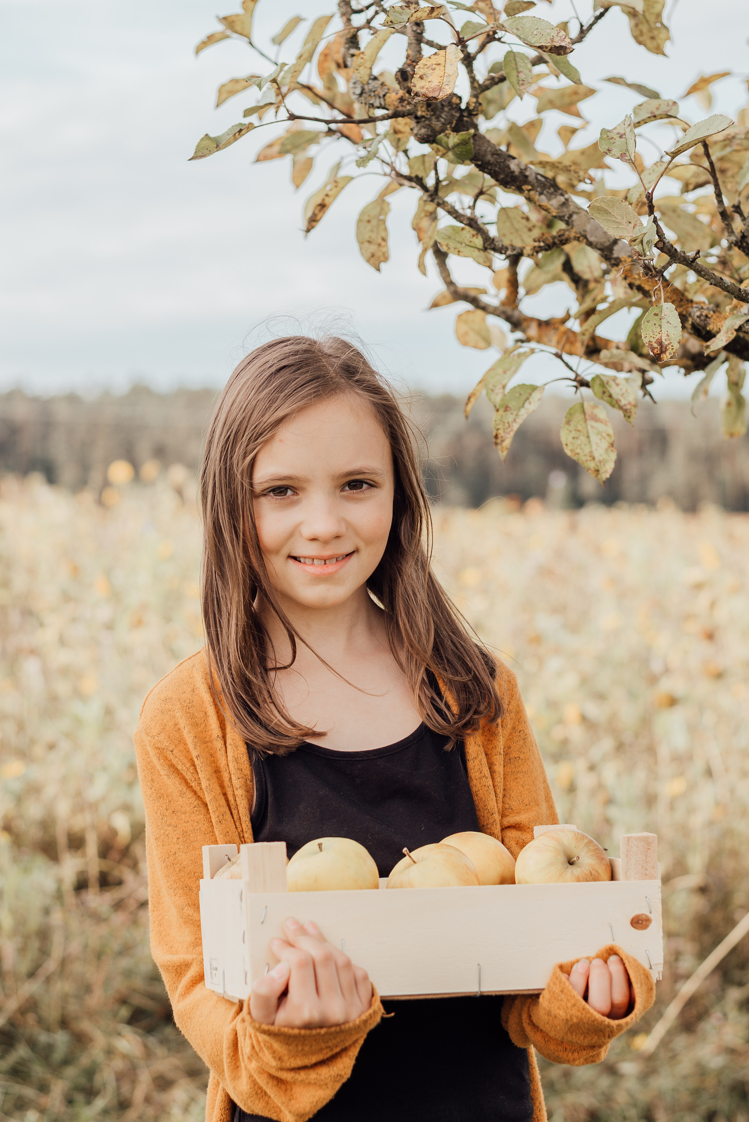 APPLE TREES. Photographer in Nuremberg Irina Mehnert from Ansbach