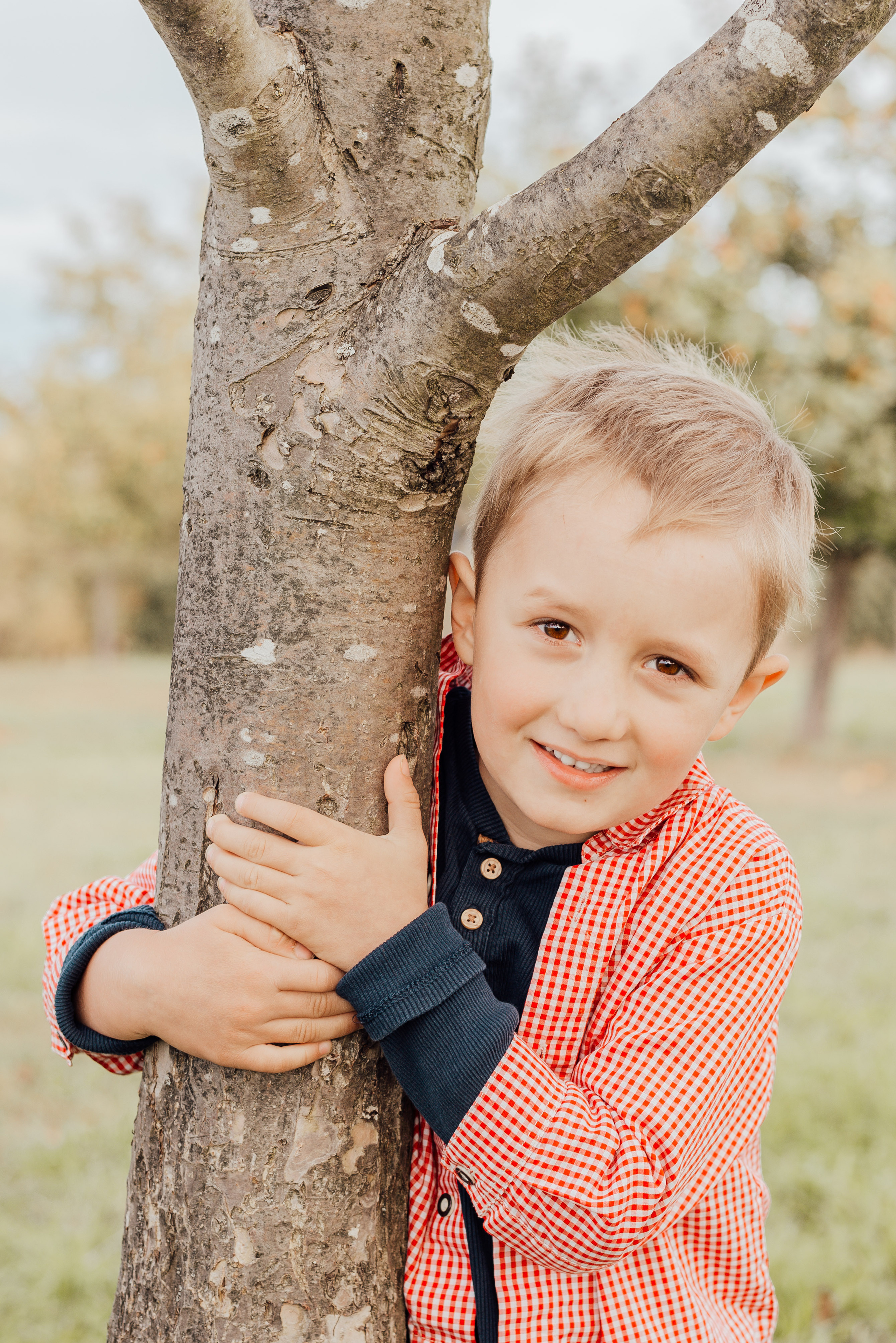 APPLE TREES. Photographer in Nuremberg Irina Mehnert from Ansbach