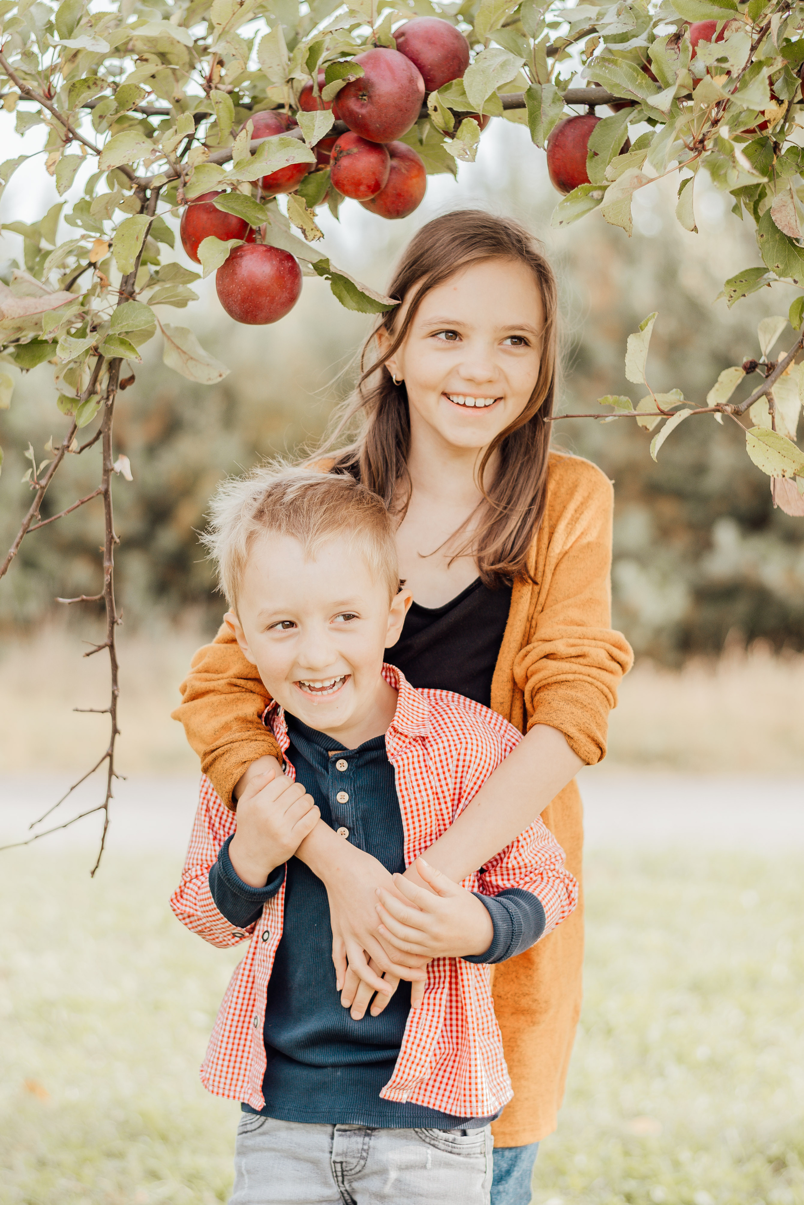 APPLE TREES. Photographer in Nuremberg Irina Mehnert from Ansbach