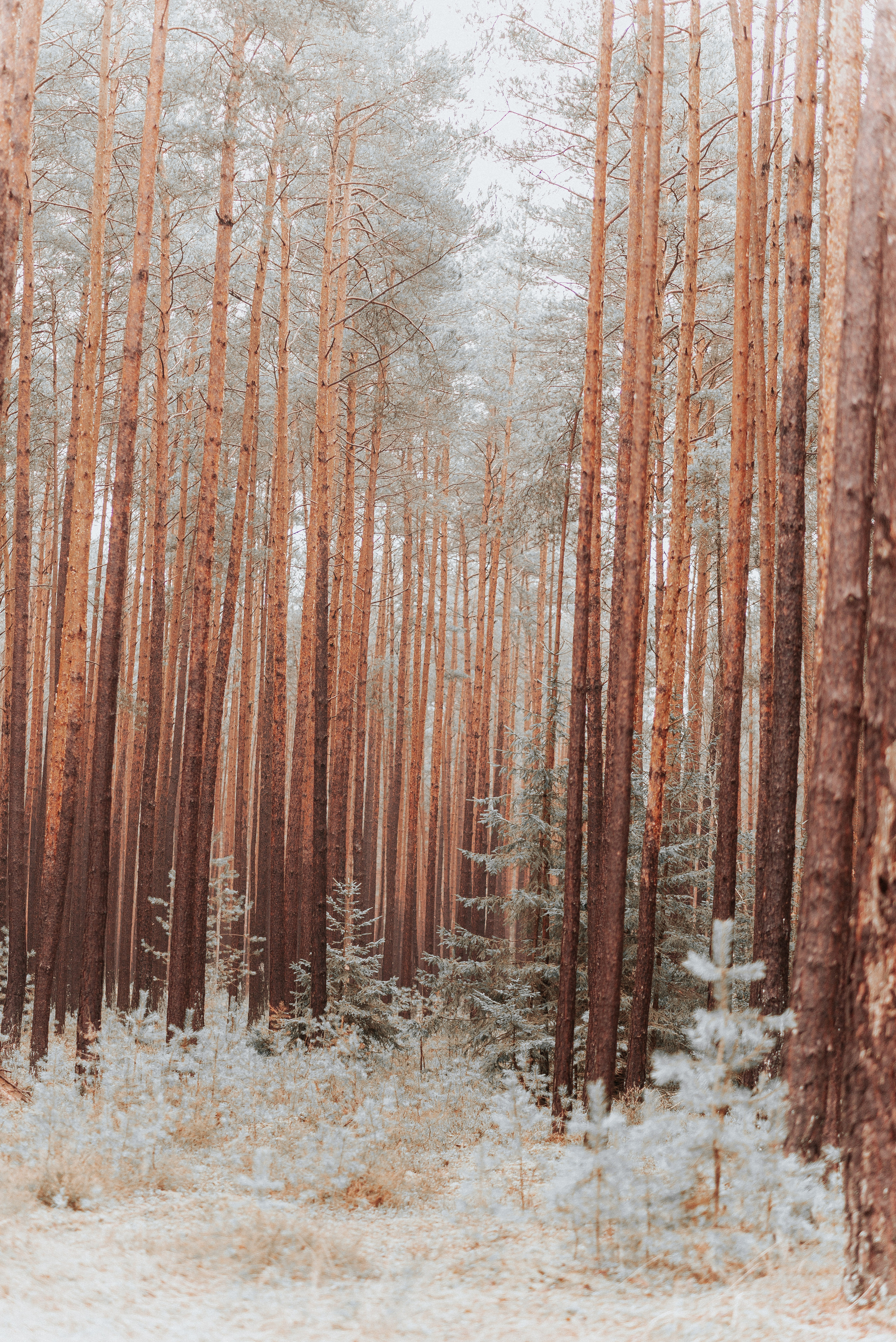 ВРЕМЯ С ПАПОЙ. Фотограф в Нюрнберге Ирина Менерт из Ансбаха