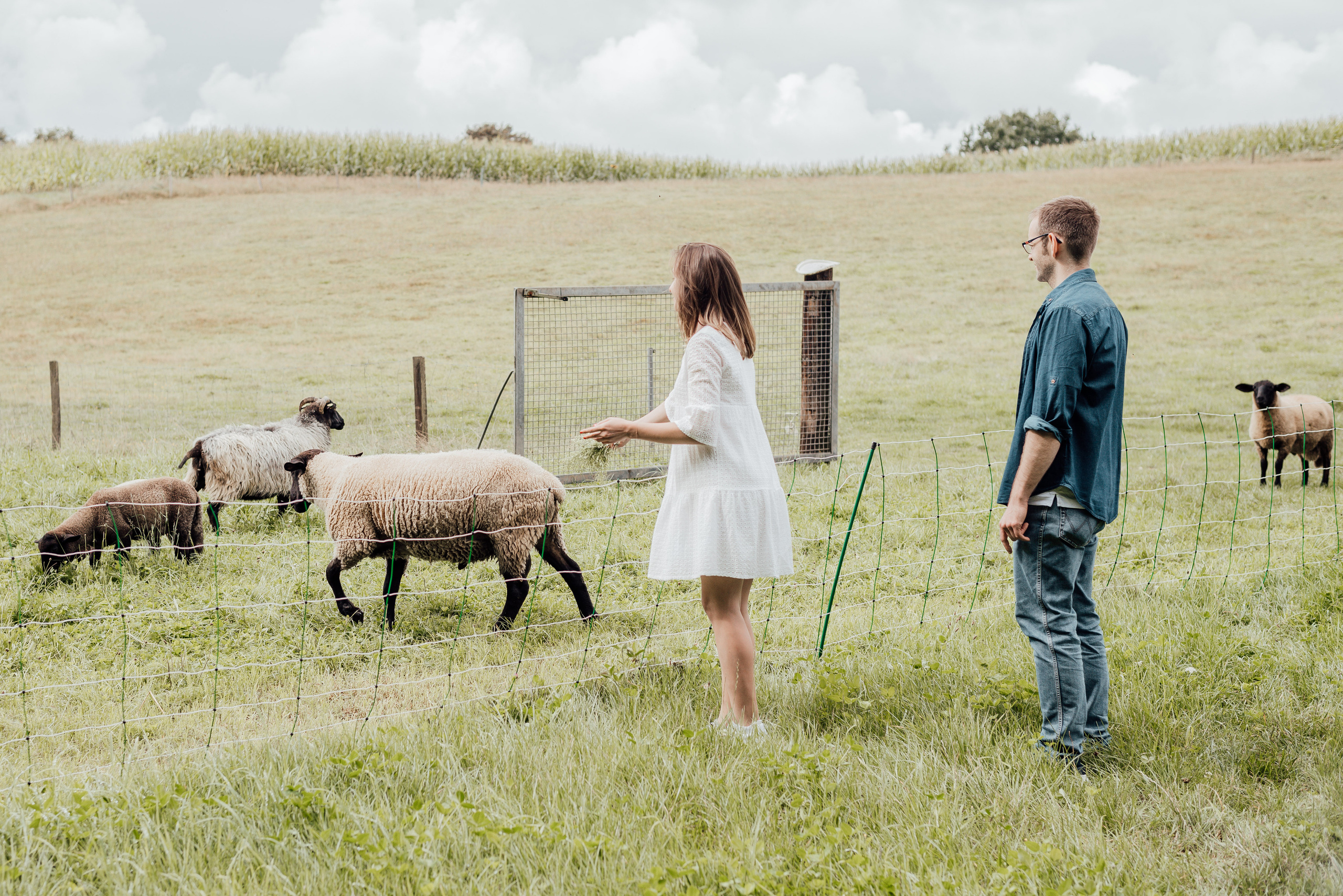LOVEBIRDS. Фотограф в Нюрнберге Ирина Менерт из Ансбаха