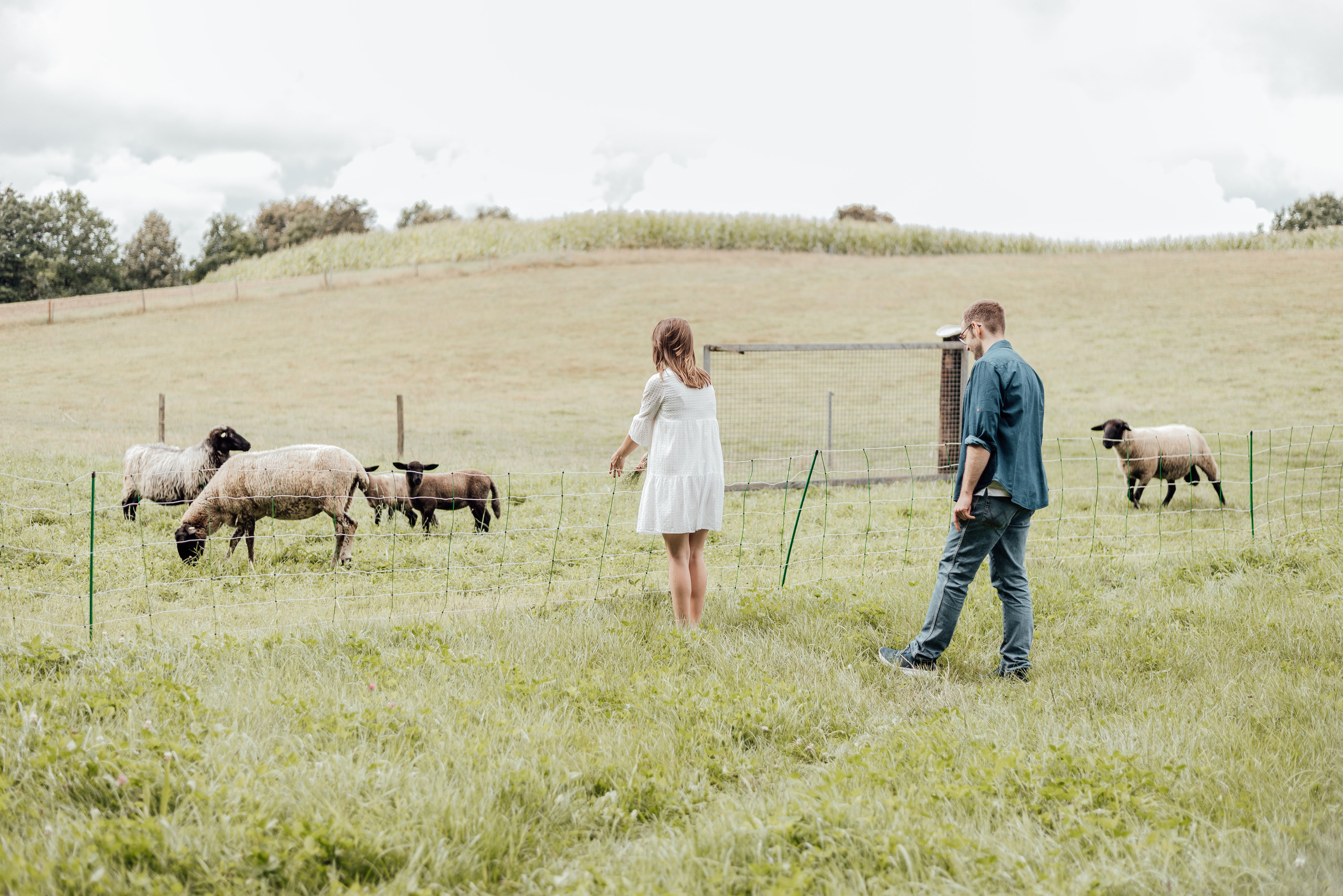 LOVEBIRDS. Фотограф в Нюрнберге Ирина Менерт из Ансбаха