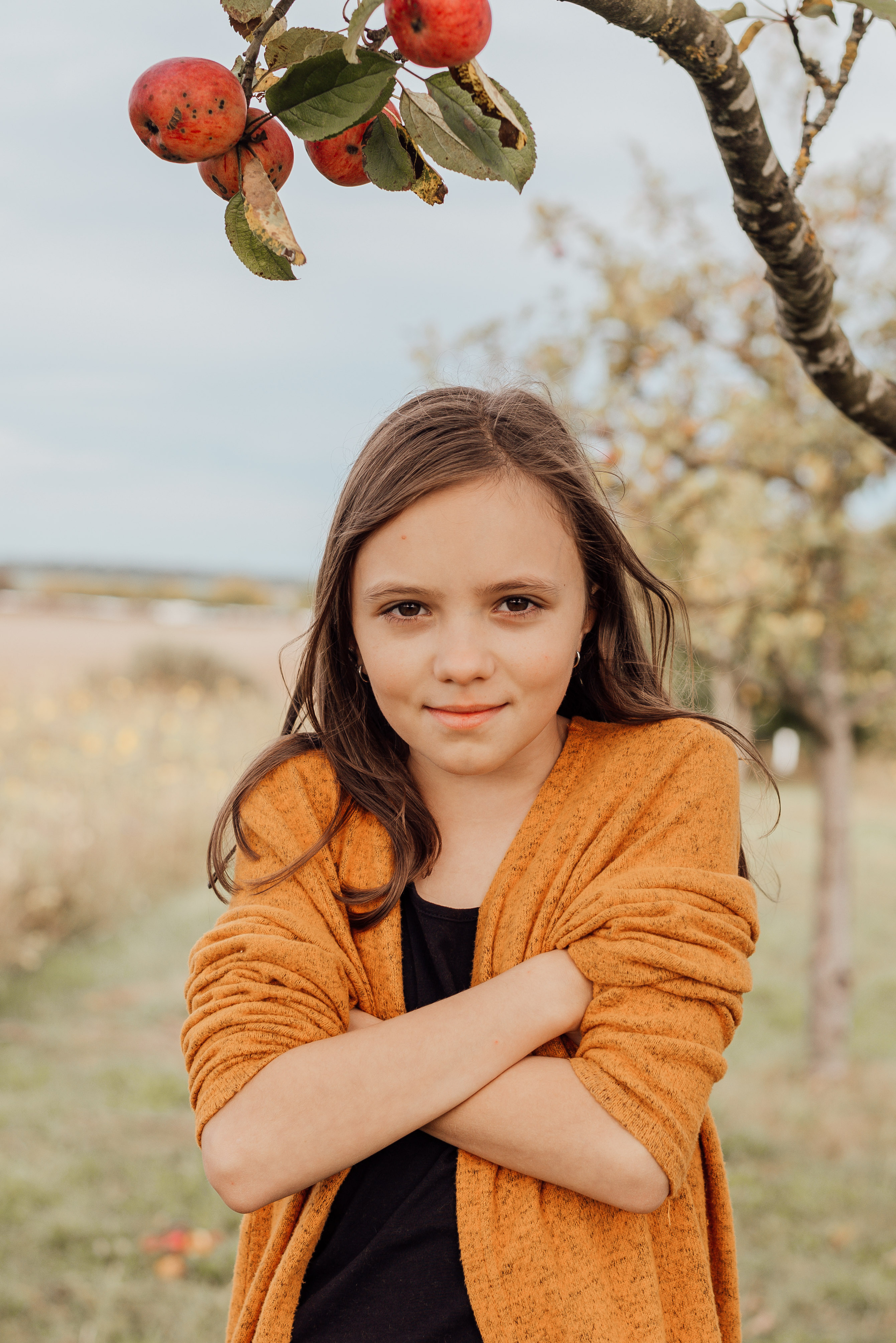 APPLE TREES. Photographer in Nuremberg Irina Mehnert from Ansbach