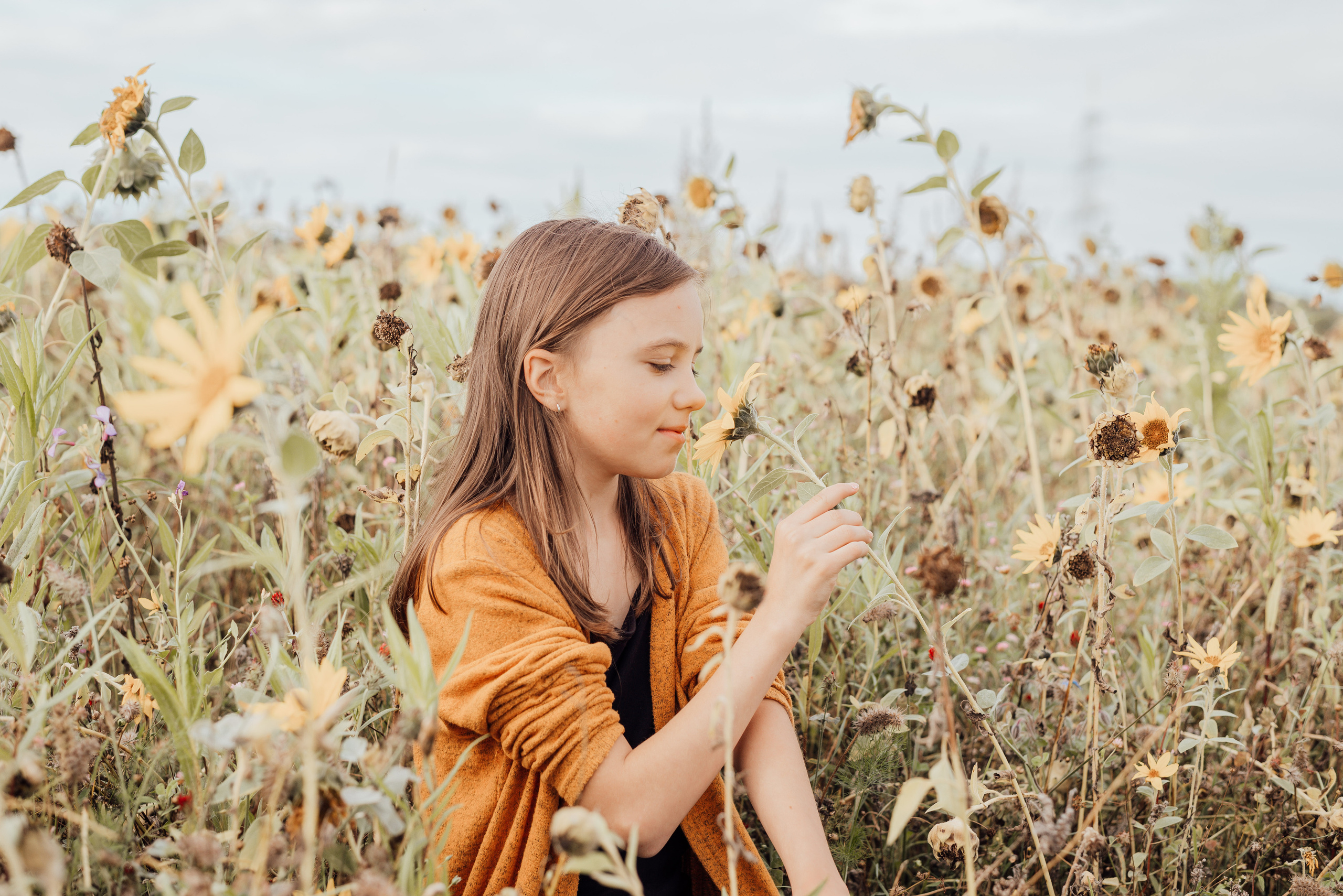 APPLE TREES. Photographer in Nuremberg Irina Mehnert from Ansbach