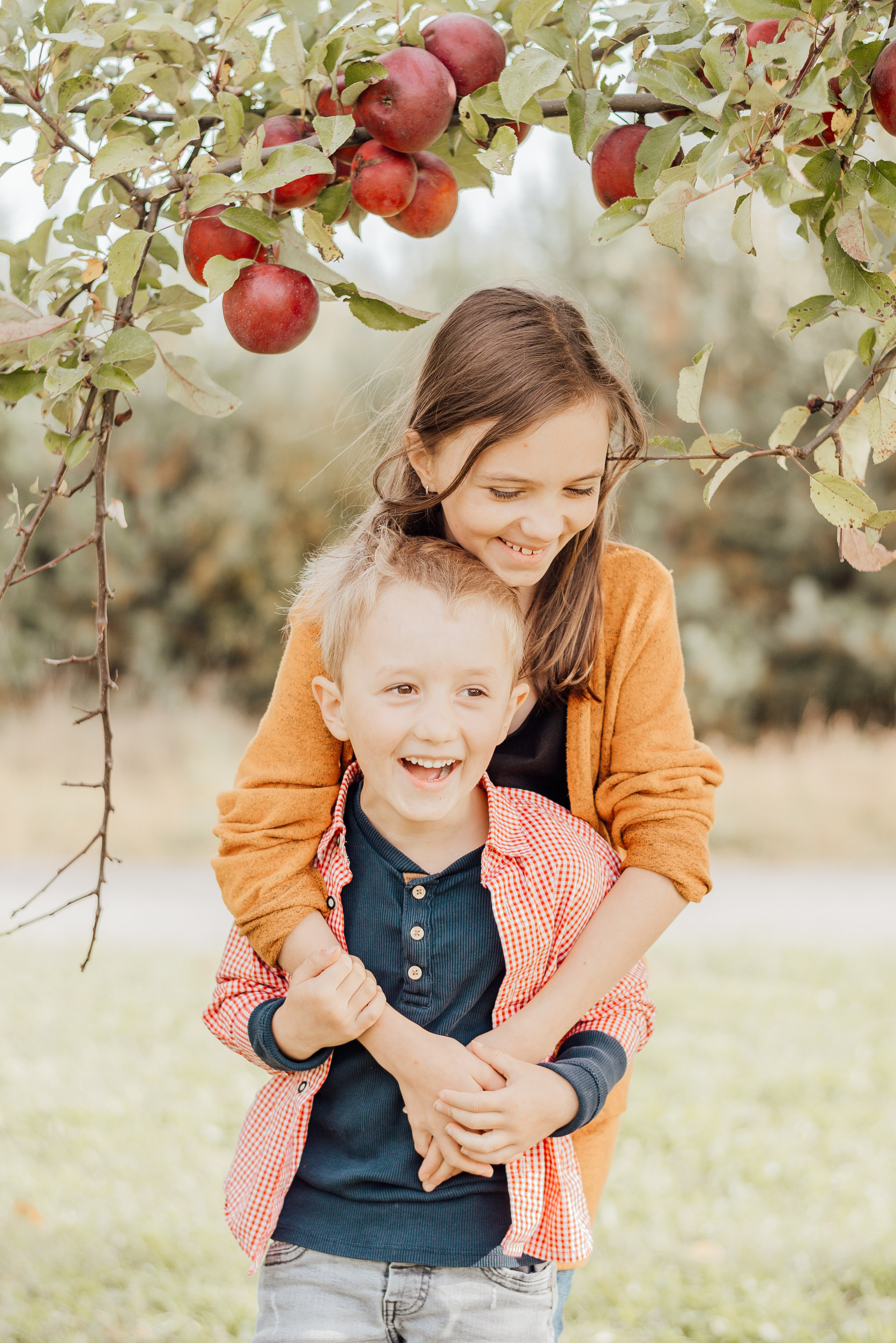 APPLE TREES. Photographer in Nuremberg Irina Mehnert from Ansbach