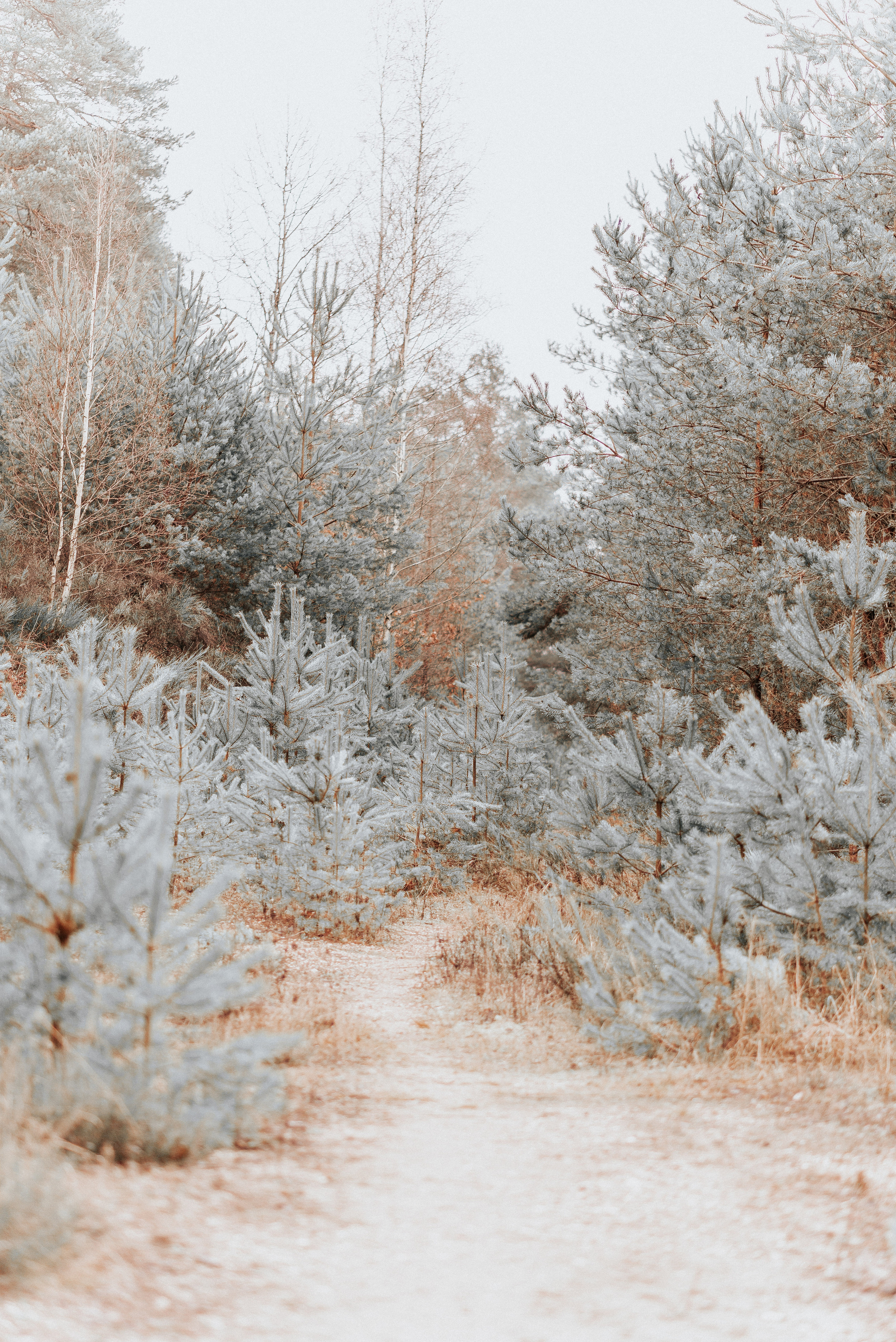 ВРЕМЯ С ПАПОЙ. Фотограф в Нюрнберге Ирина Менерт из Ансбаха