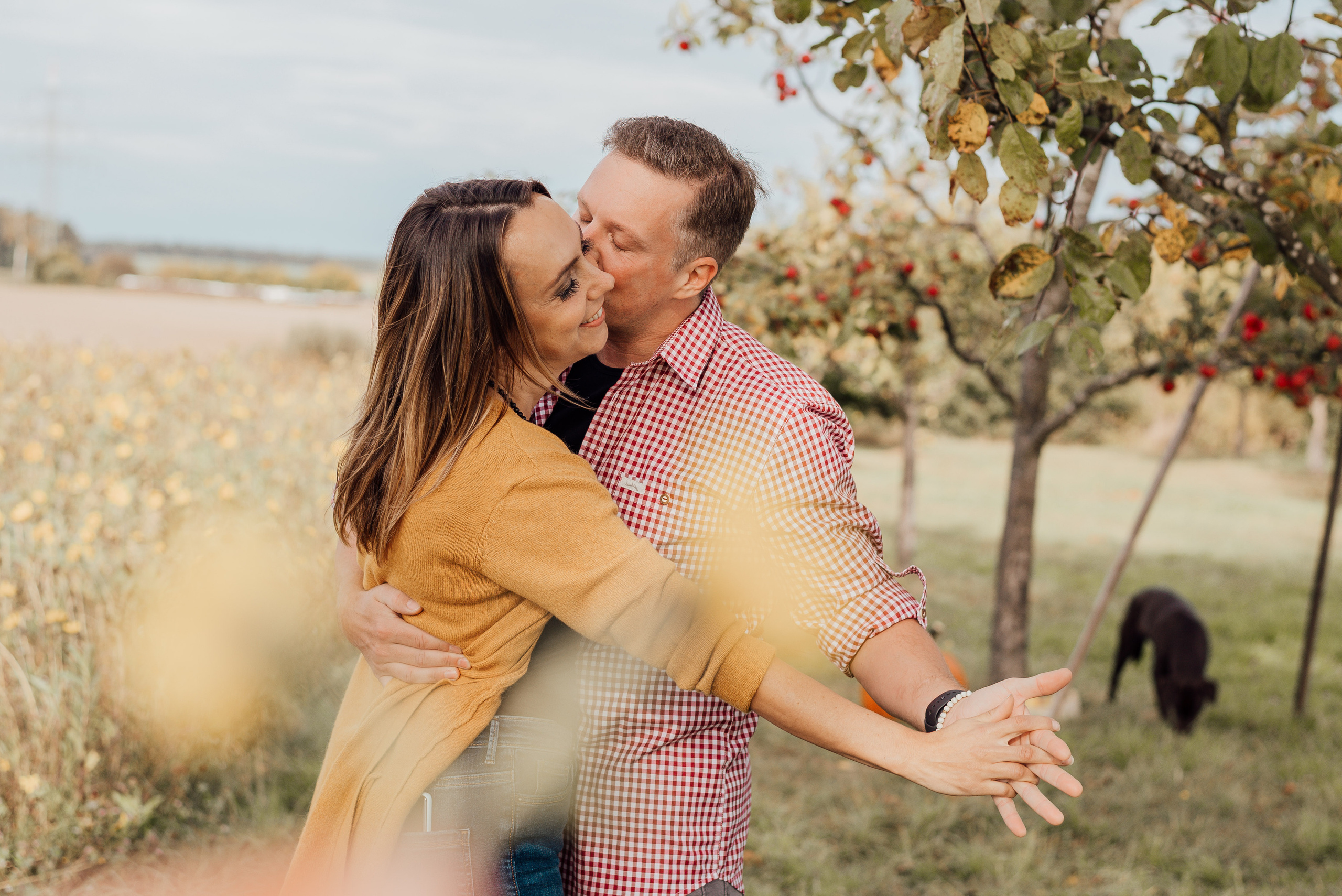 APPLE TREES. Photographer in Nuremberg Irina Mehnert from Ansbach