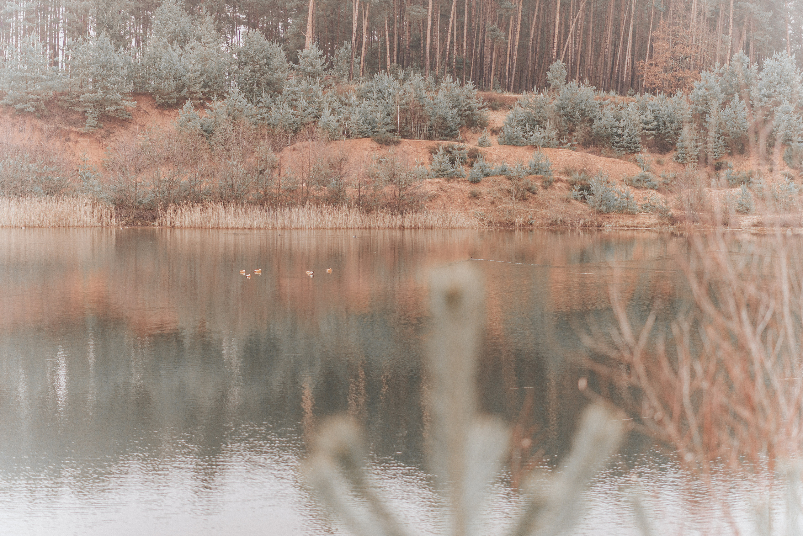 ВРЕМЯ С ПАПОЙ. Фотограф в Нюрнберге Ирина Менерт из Ансбаха