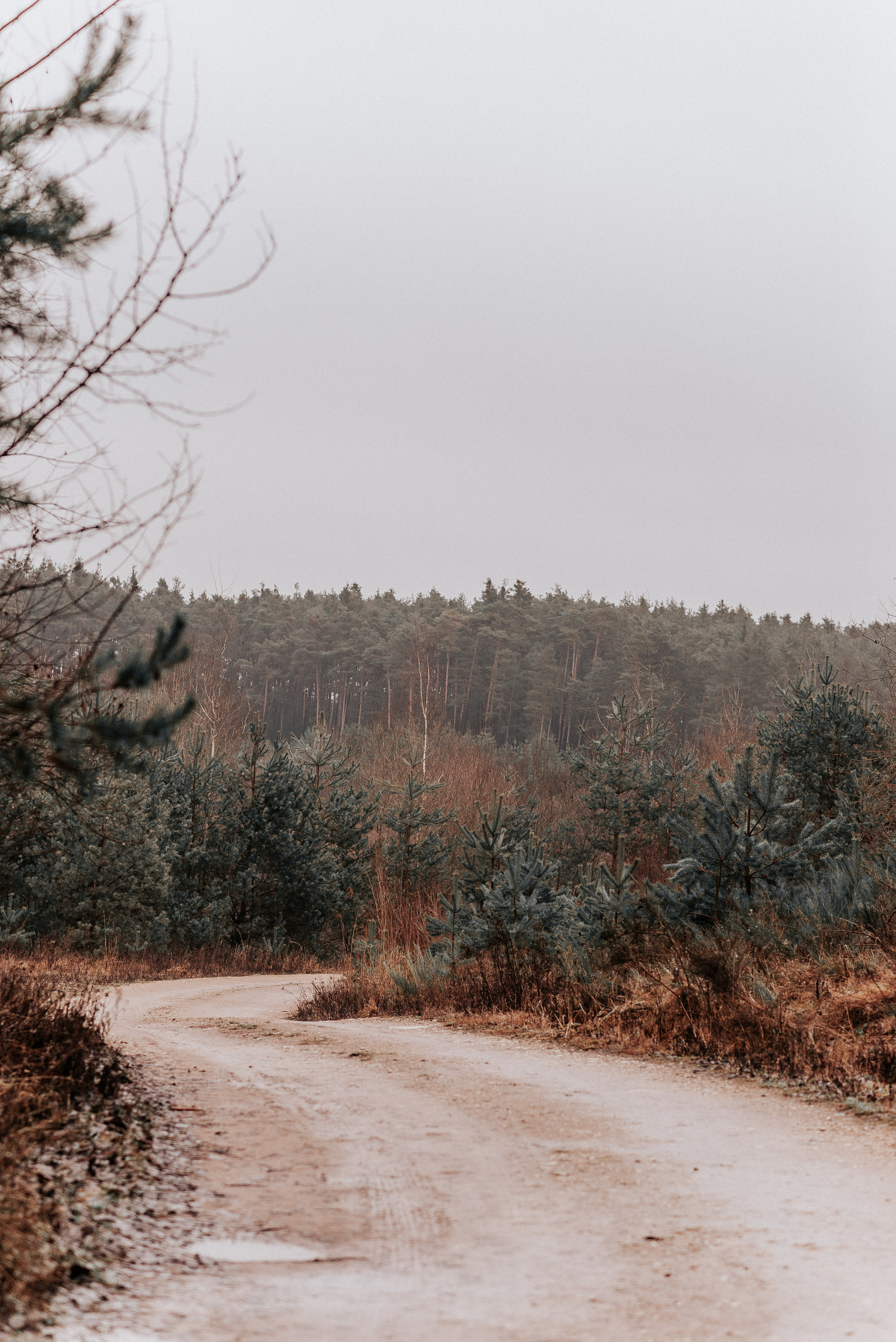 ВРЕМЯ С ПАПОЙ. Фотограф в Нюрнберге Ирина Менерт из Ансбаха