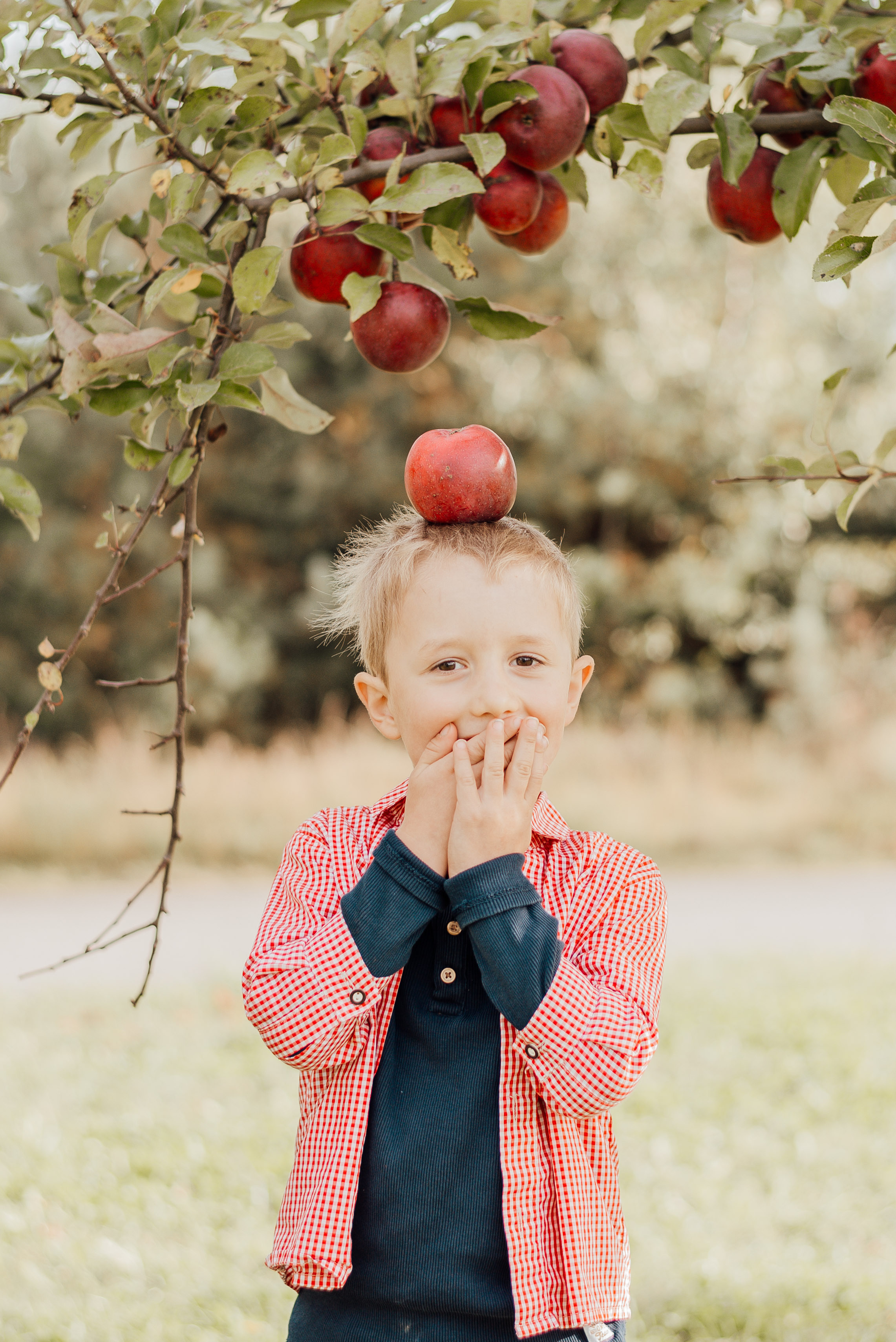 APPLE TREES. Photographer in Nuremberg Irina Mehnert from Ansbach