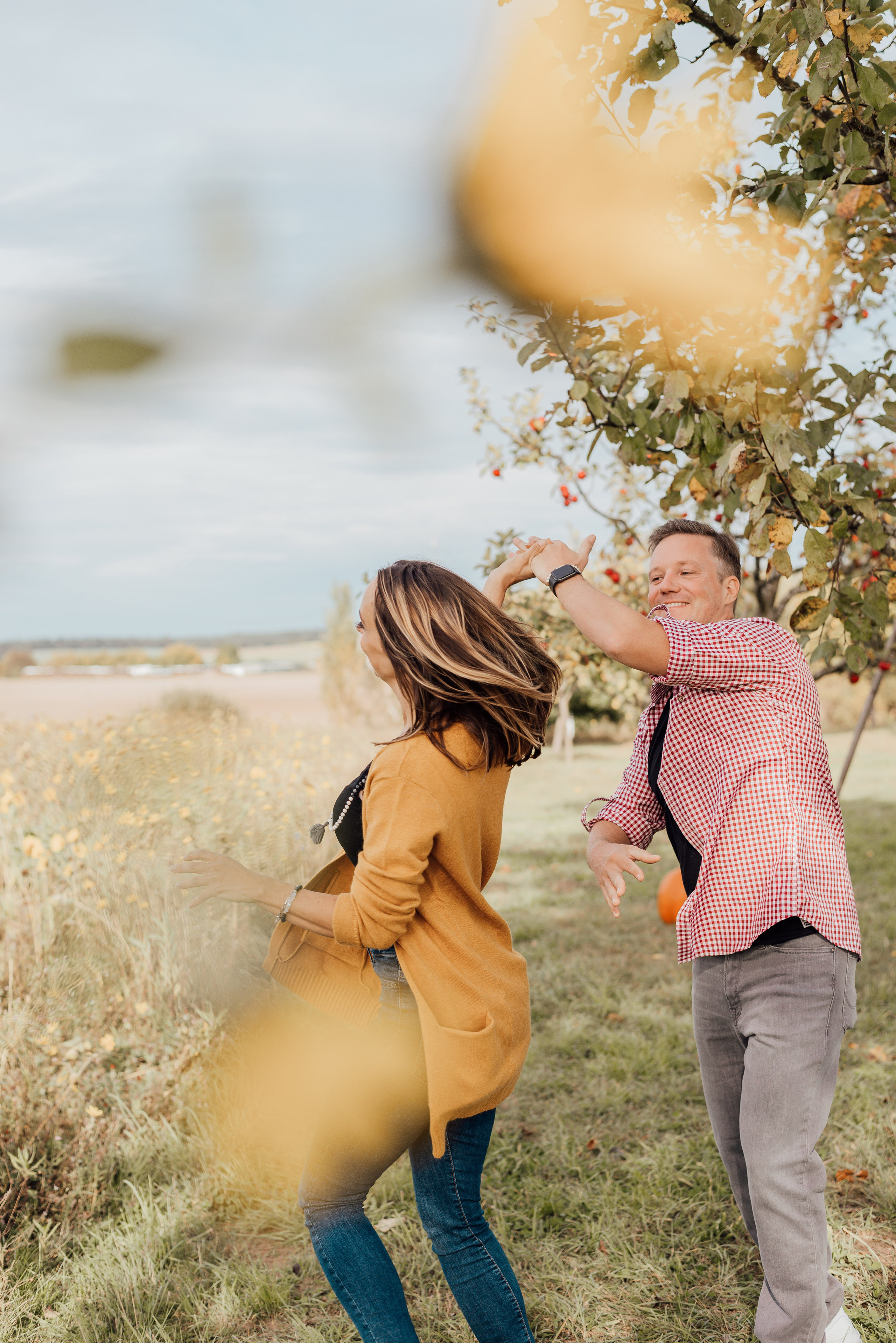 APPLE TREES. Photographer in Nuremberg Irina Mehnert from Ansbach
